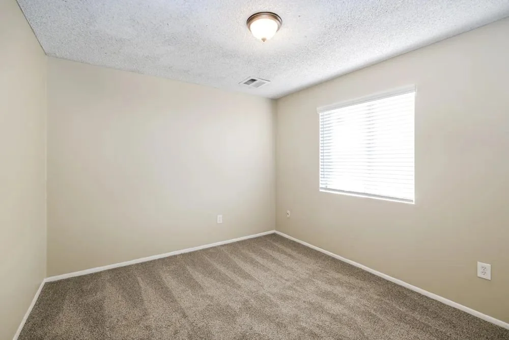 WhatsApp Image 2026-01-10 at 09.51.54.jpeg