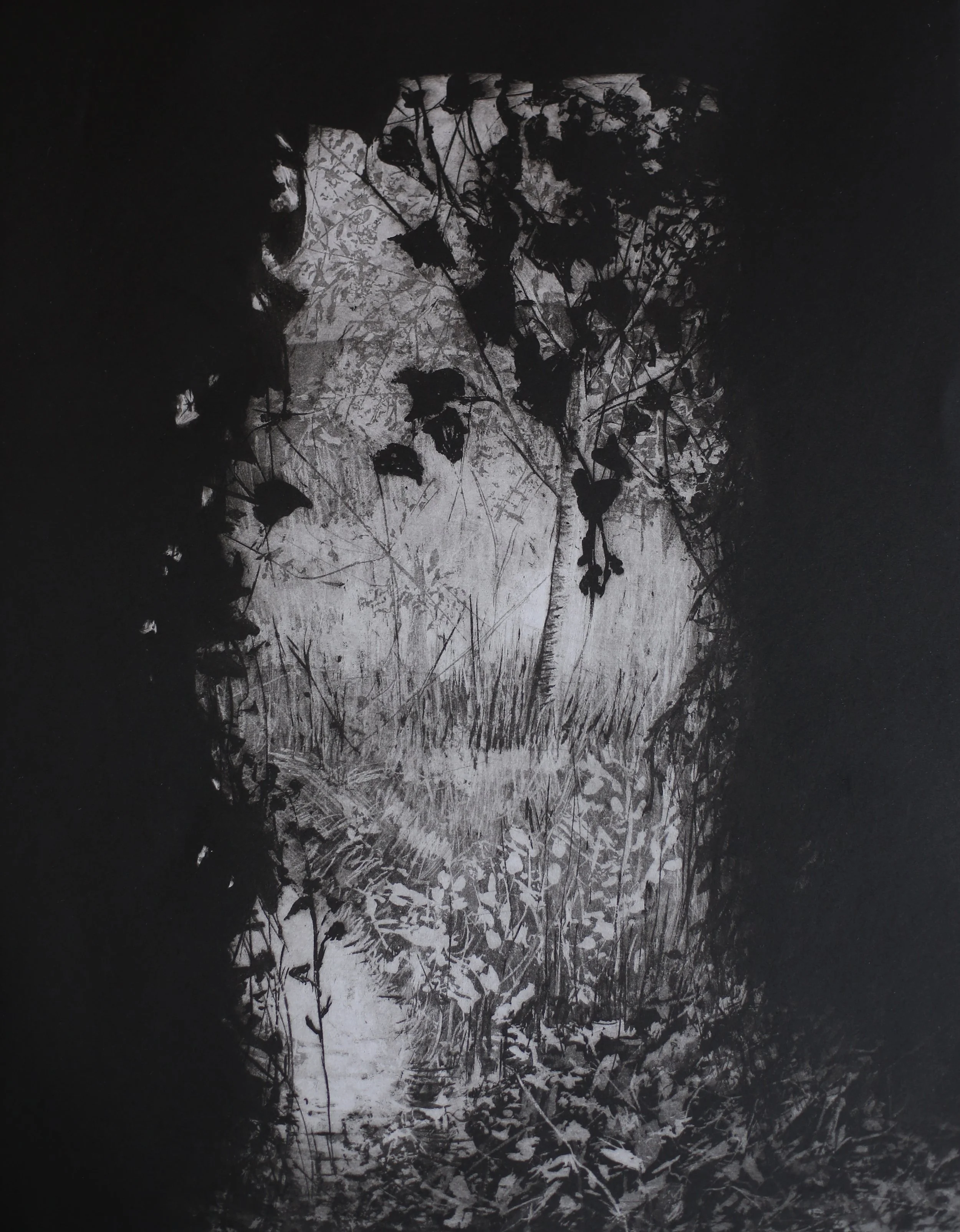 HoldingOn_Etching_JemmaGunning.JPG
