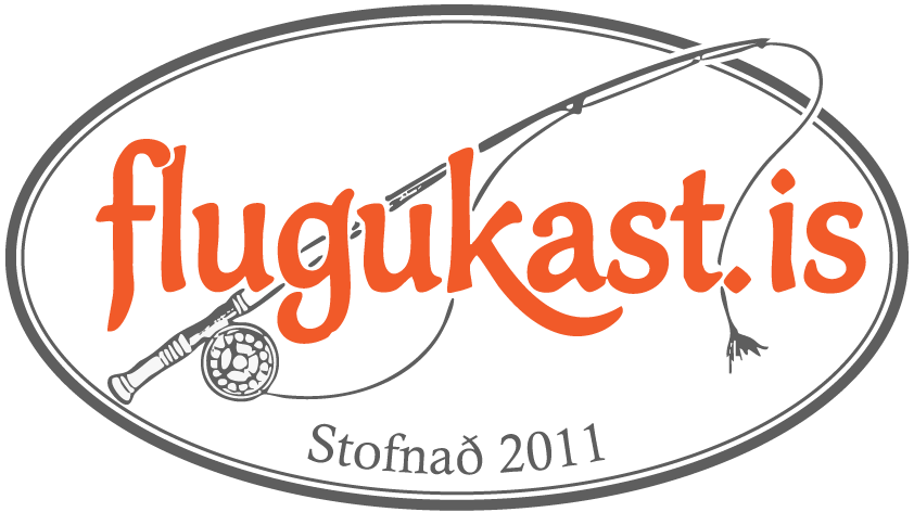 Flugukastnámskeið Barkar