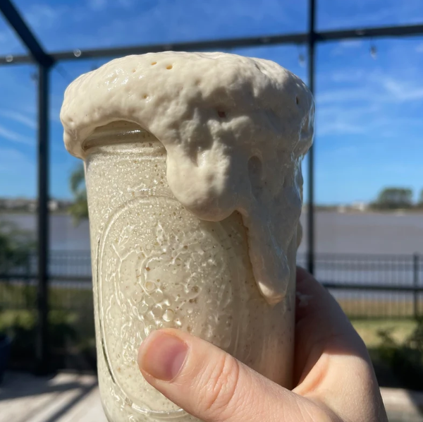 sourdough starter.png