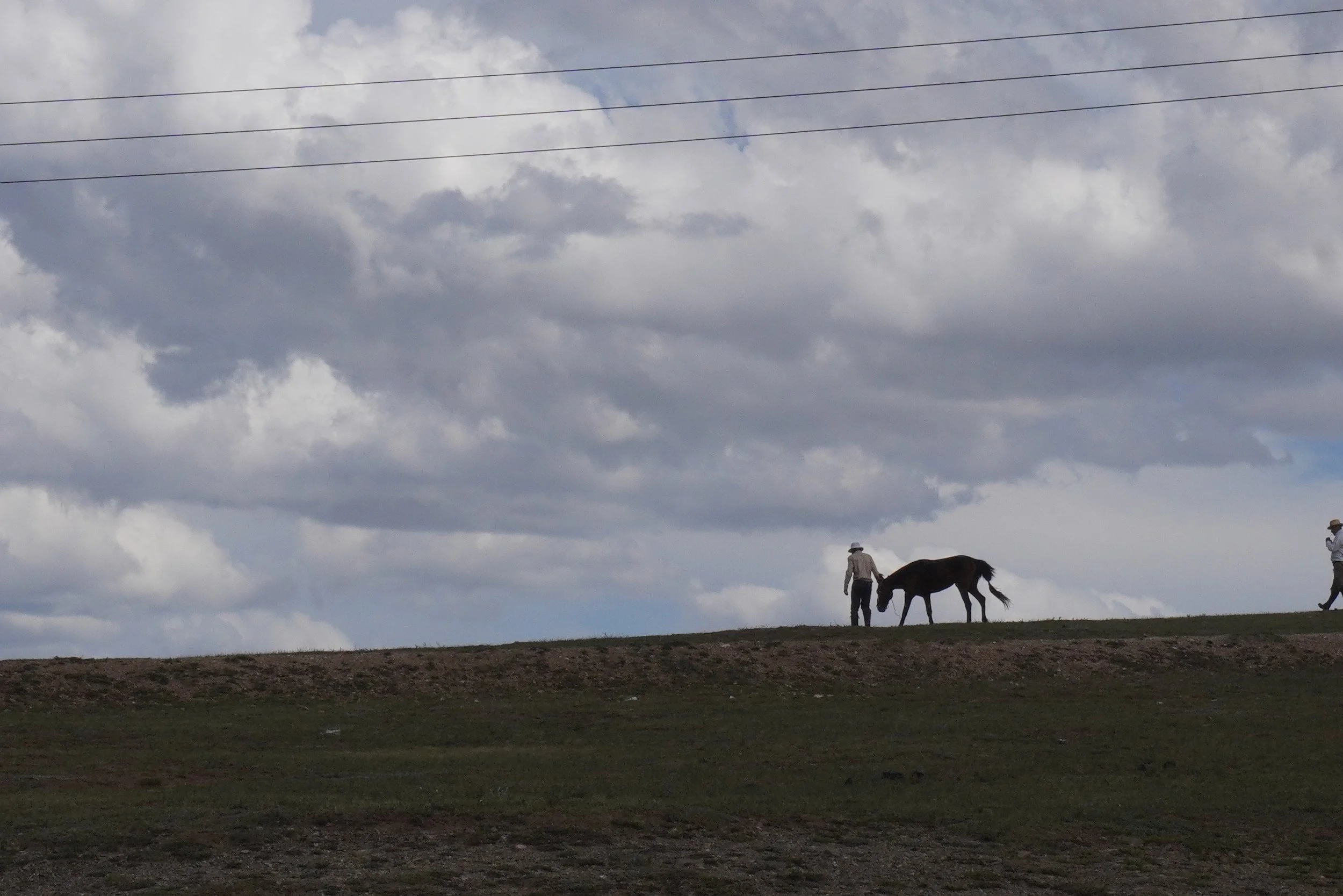 Man and Horse