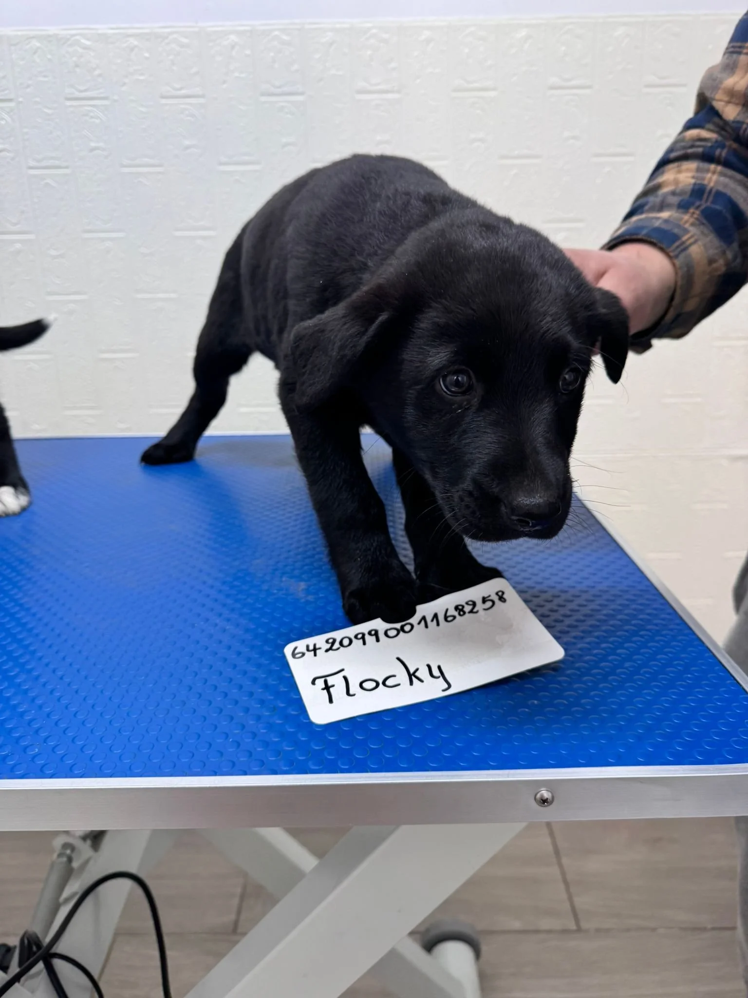 WhatsApp Image 2025-12-29 at 5.11.14 PM-2.jpeg