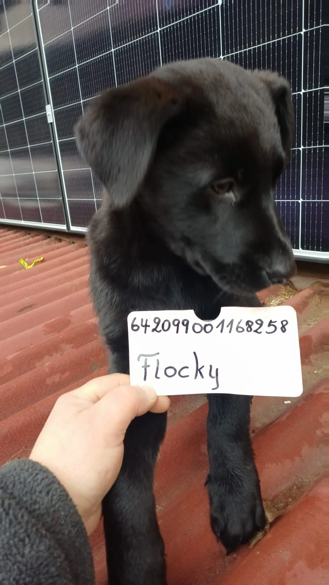 WhatsApp Image 2026-01-06 at 3.15.15 PM.jpeg