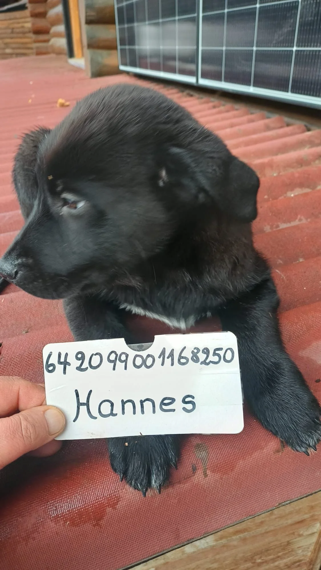 WhatsApp Image 2026-01-06 at 3.15.16 PM-2.jpeg