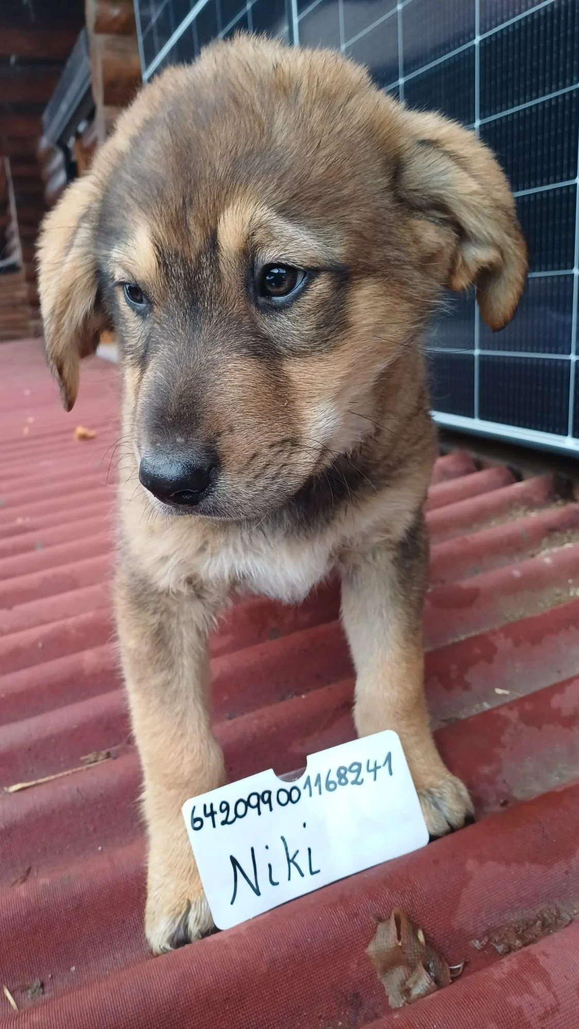 WhatsApp Image 2026-01-06 at 3.15.14 PM.jpeg