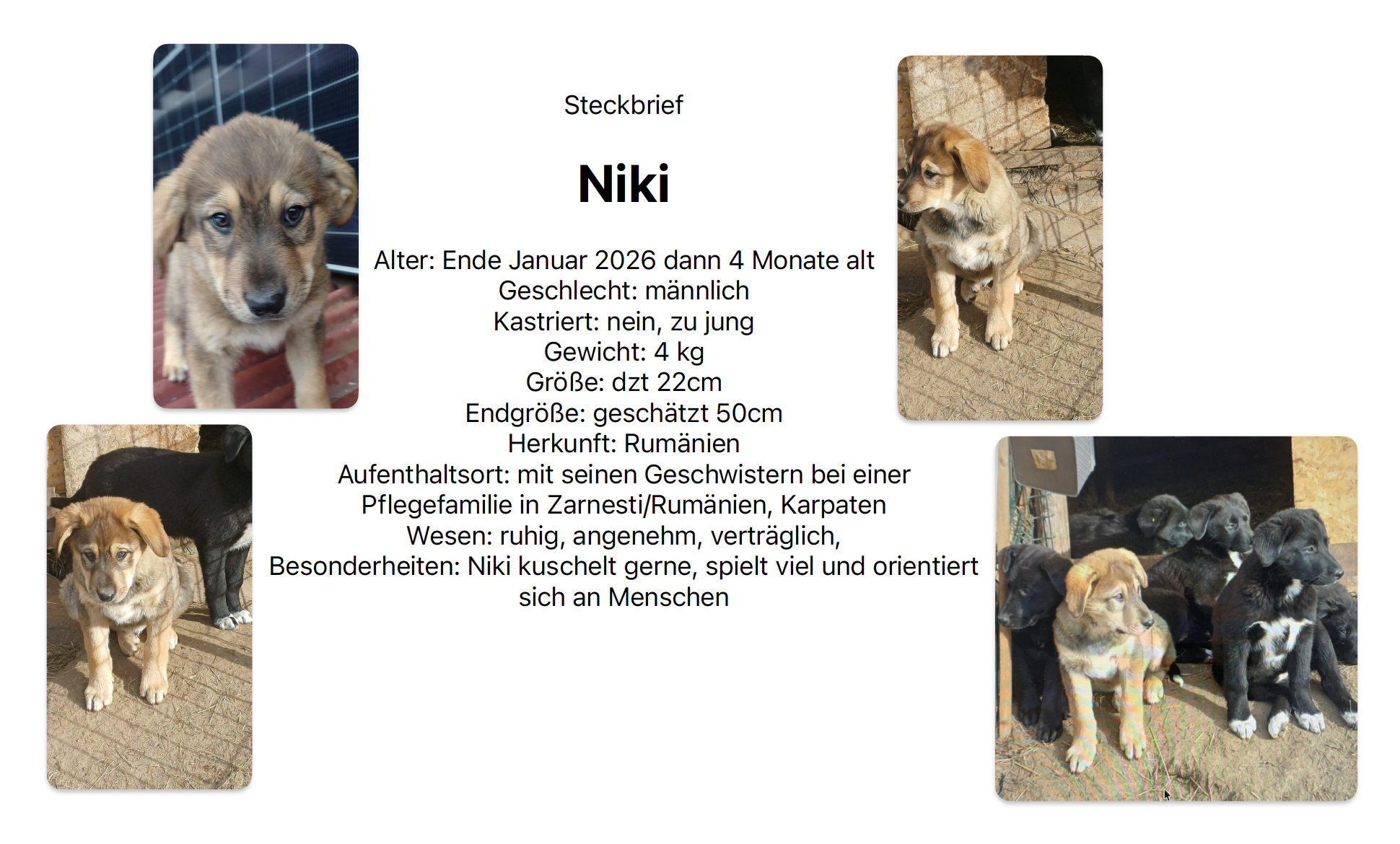 Bildschirmfoto 2026-01-15 um 23.24.02.png