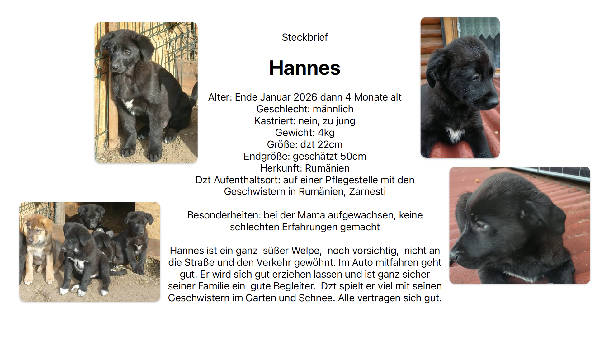 Bildschirmfoto 2026-01-15 um 23.24.21.png