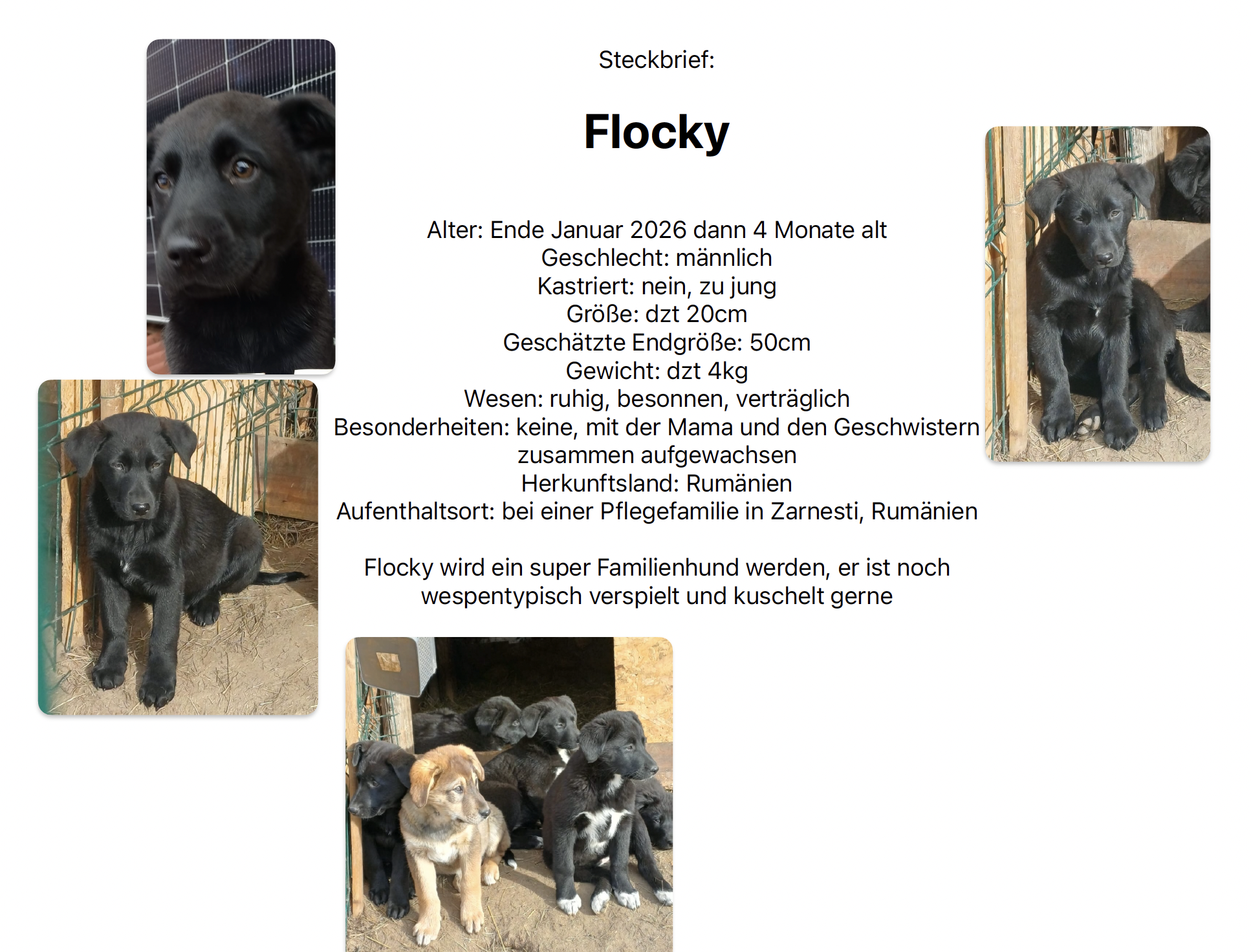 Bildschirmfoto 2026-01-15 um 23.27.14.png