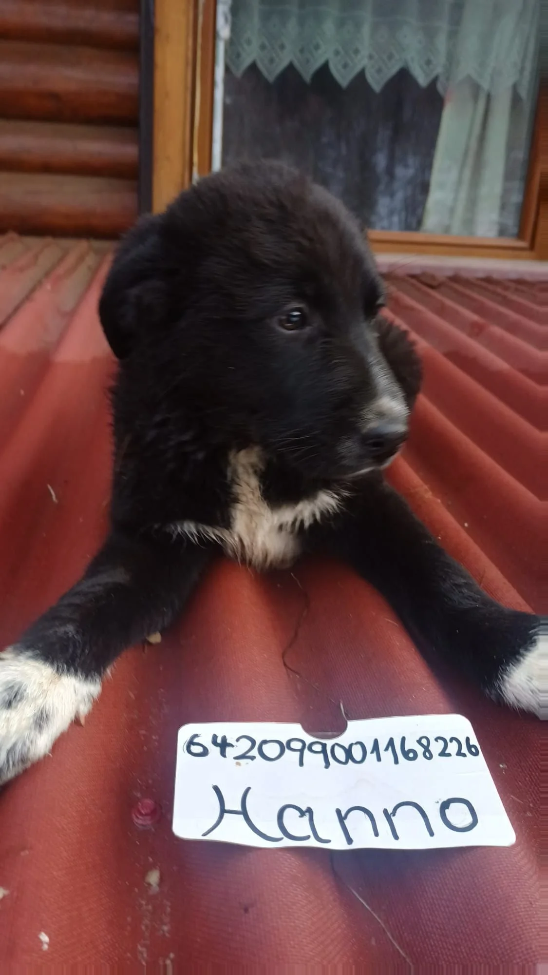 WhatsApp Image 2026-01-06 at 3.15.15 PM-2.jpeg