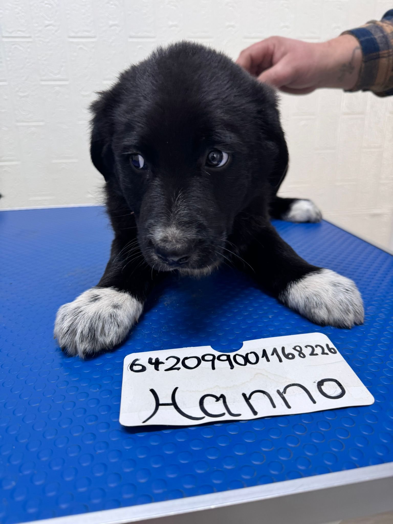 WhatsApp Image 2025-12-29 at 5.11.15 PM-2.jpeg