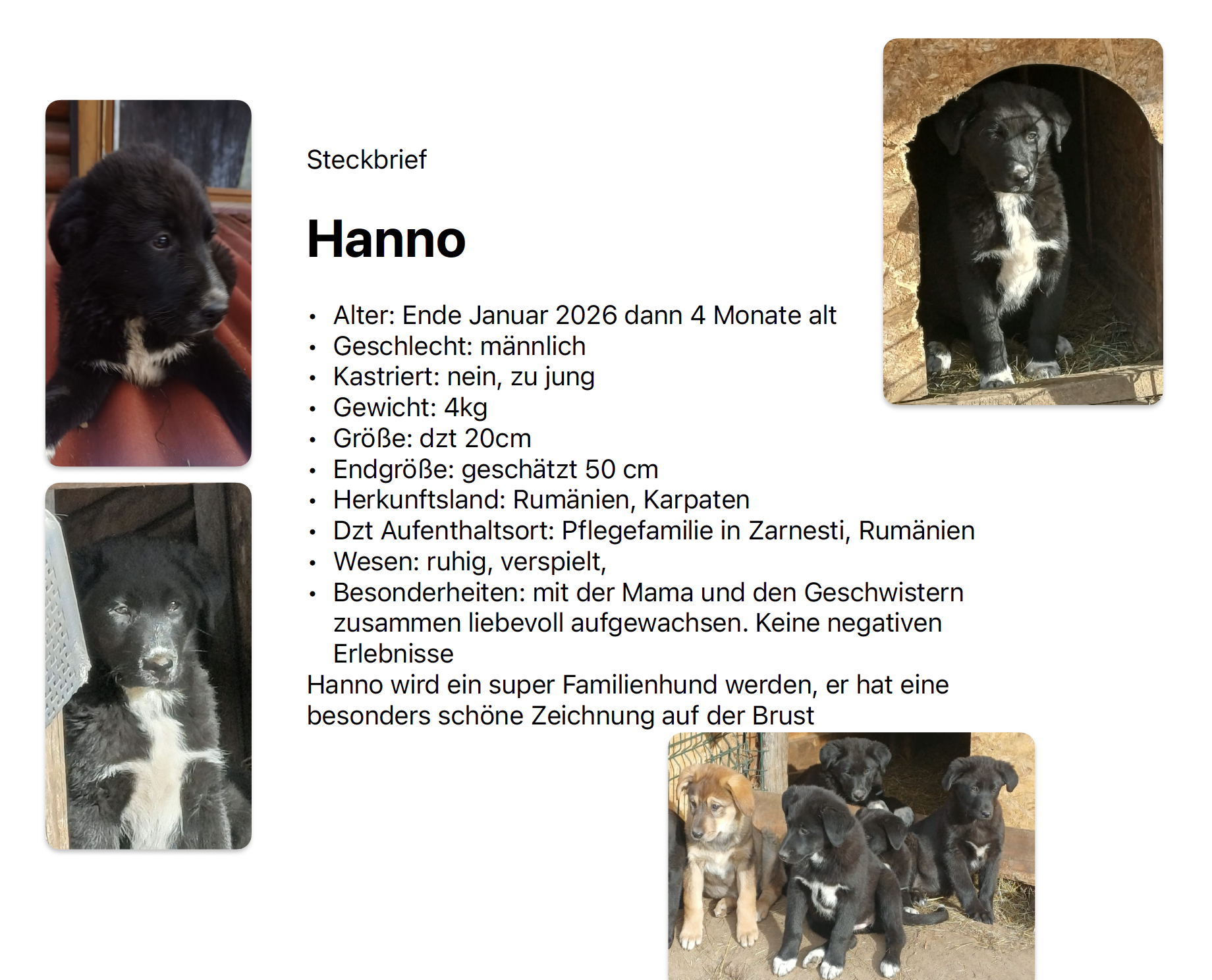 Bildschirmfoto 2026-01-15 um 23.23.50.png