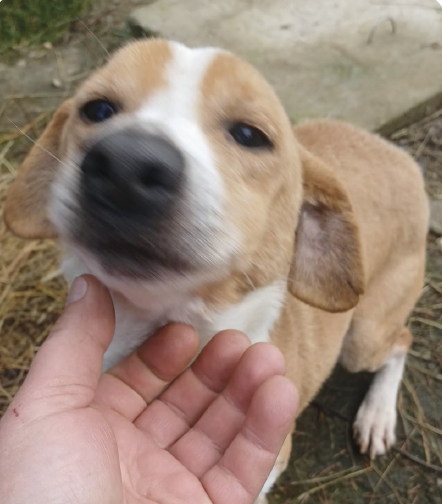 Bildschirmfoto 2026-01-15 um 22.58.26.png