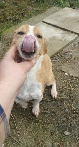 Bildschirmfoto 2026-01-15 um 22.58.22.png