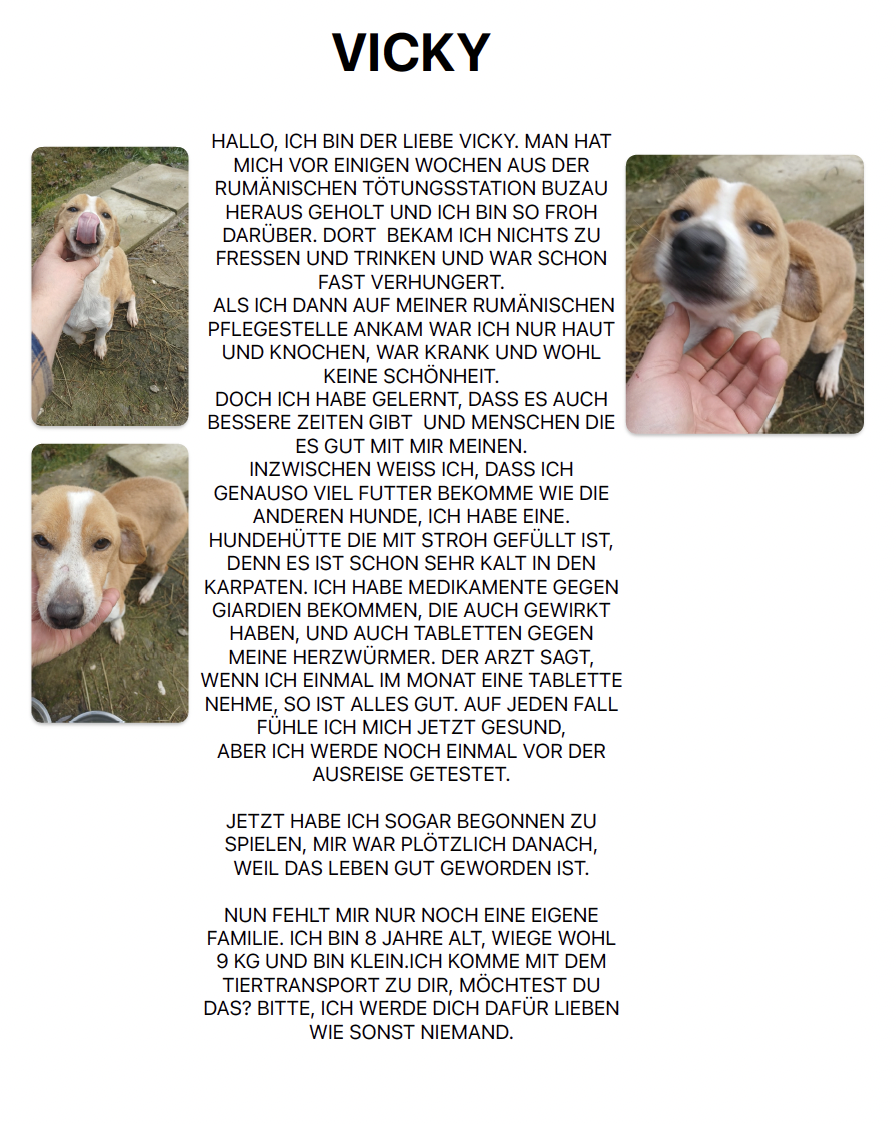 Bildschirmfoto 2026-01-16 um 10.50.26.png