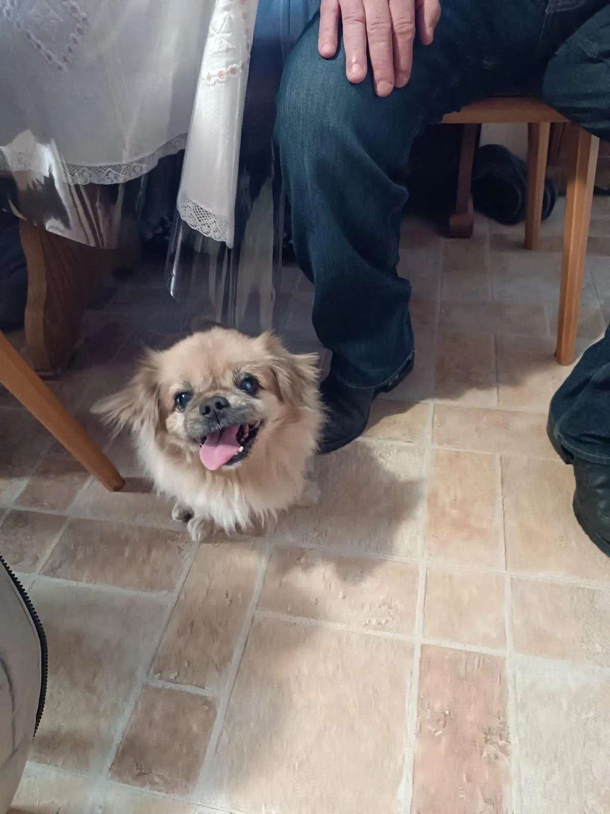 Balu