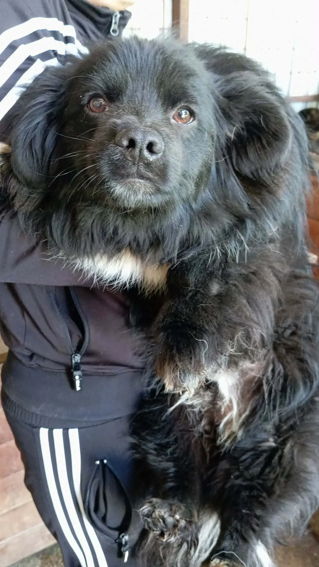 Krümel