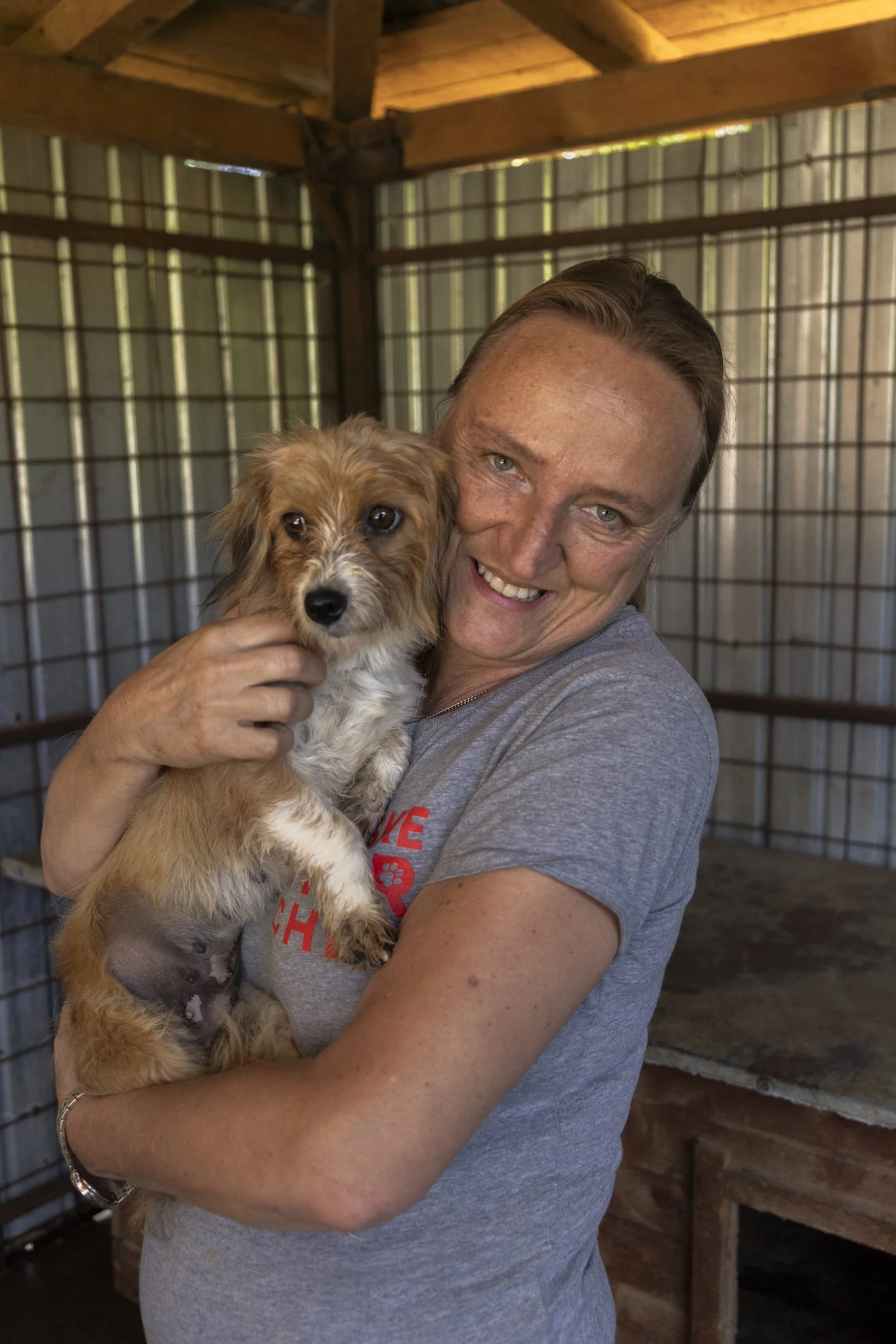 Frau hält einen kleinen braunen und weißen Hund in einem Zwinger.