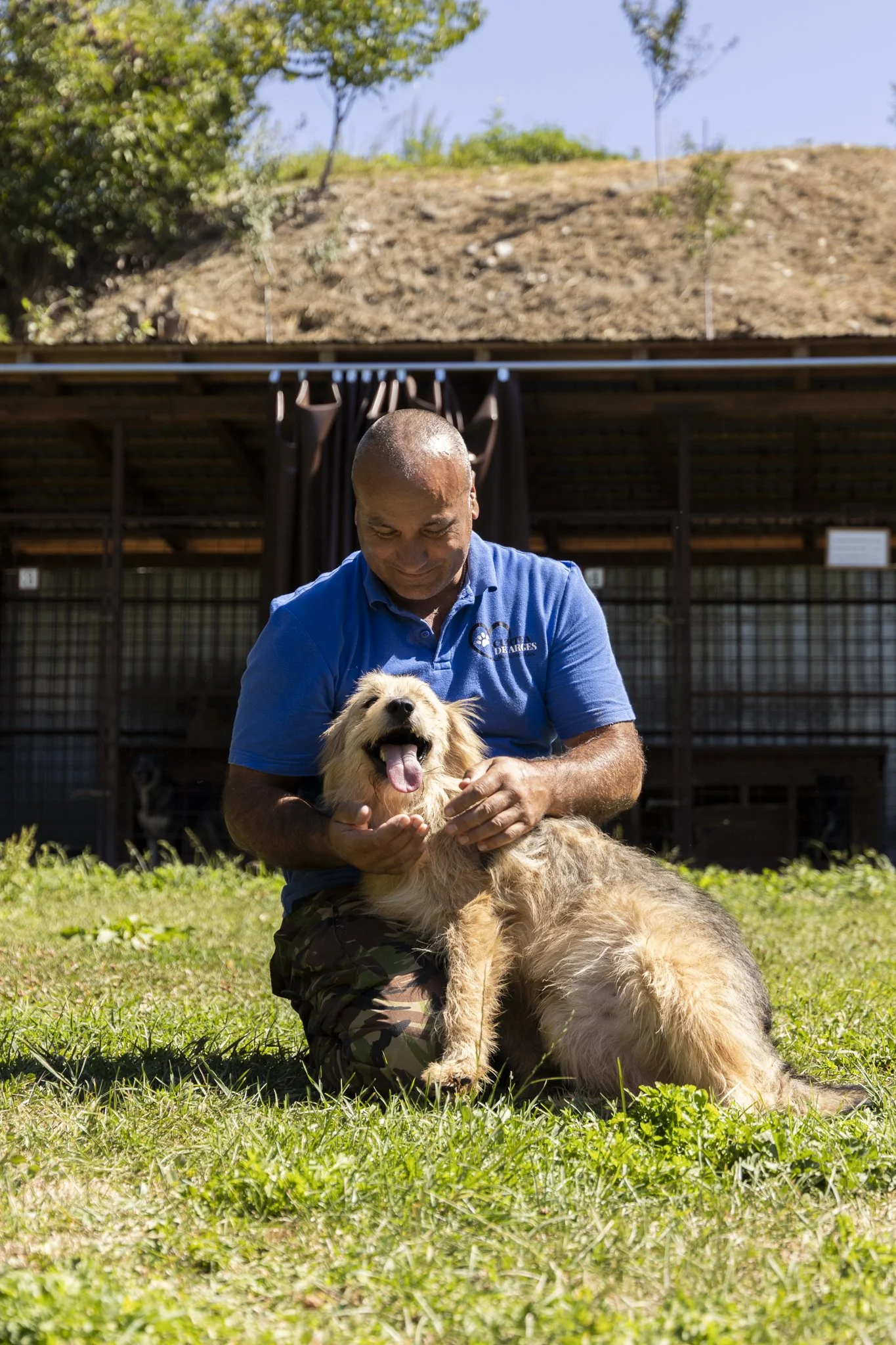 Ein Mann in blauer Polo schaut auf einen lachenden Hund, der auf dem Rasen sitzt, bei Sonnenschein im Freien.