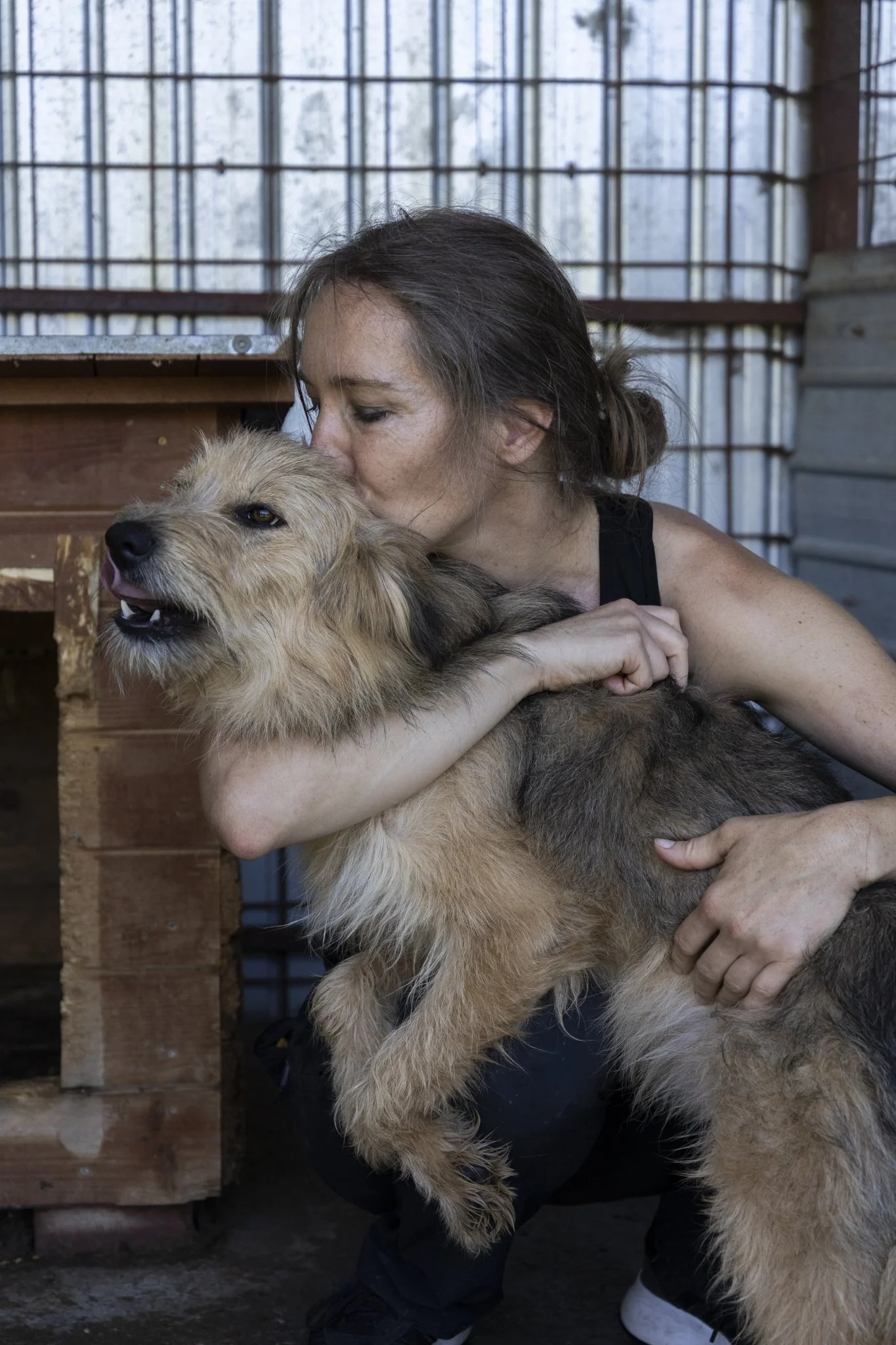 Eine Frau umarmt einen großen, braun-beigen Hund in einem Zwinger.