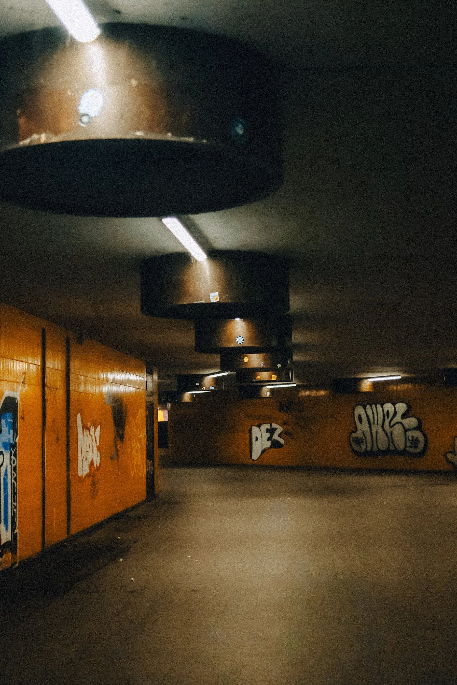 DSCF9625.JPG