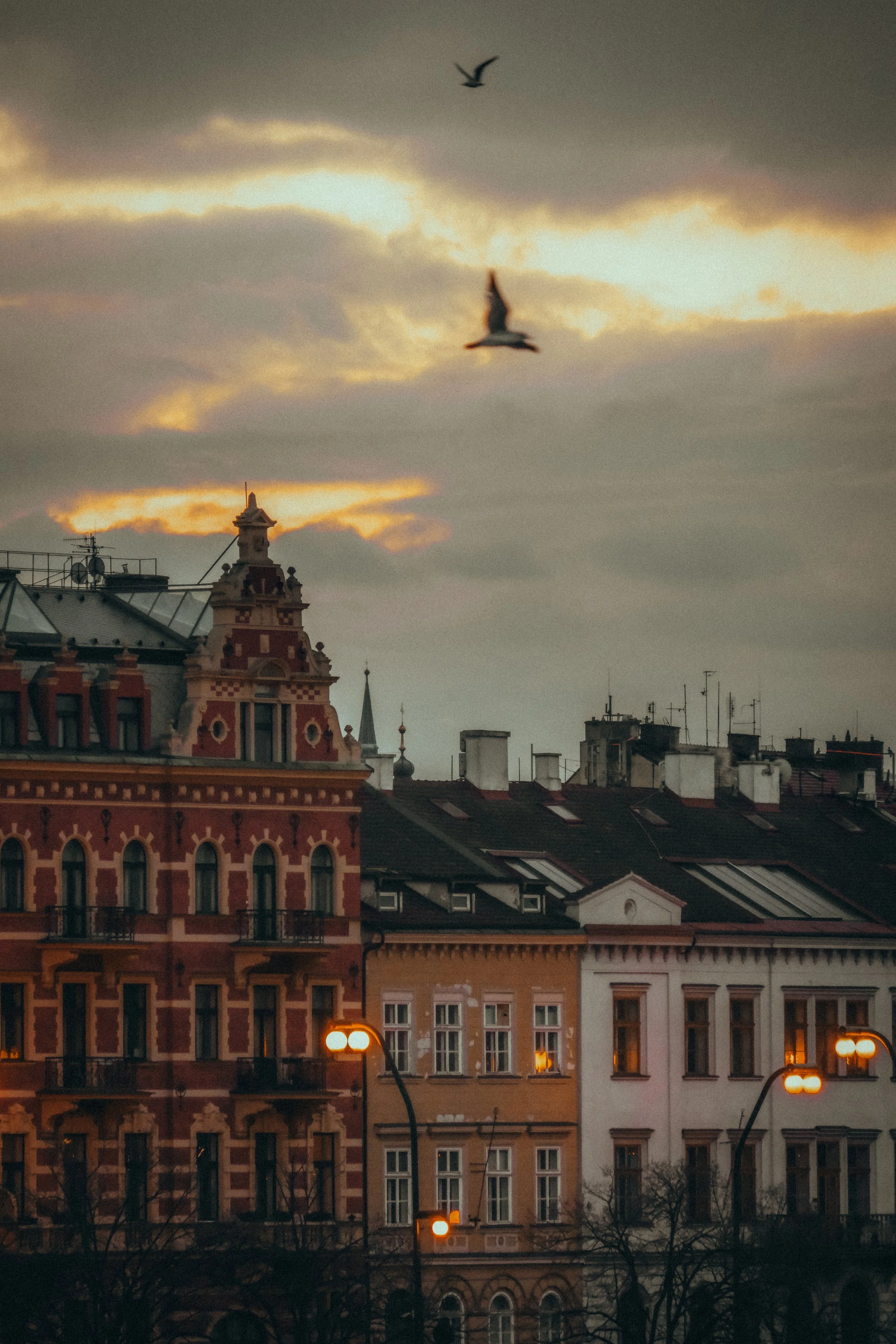 Bunte historische Gebäude in einer Stadt bei Sonnenuntergang, mit Wolken und fliegenden Möwen am Himmel.