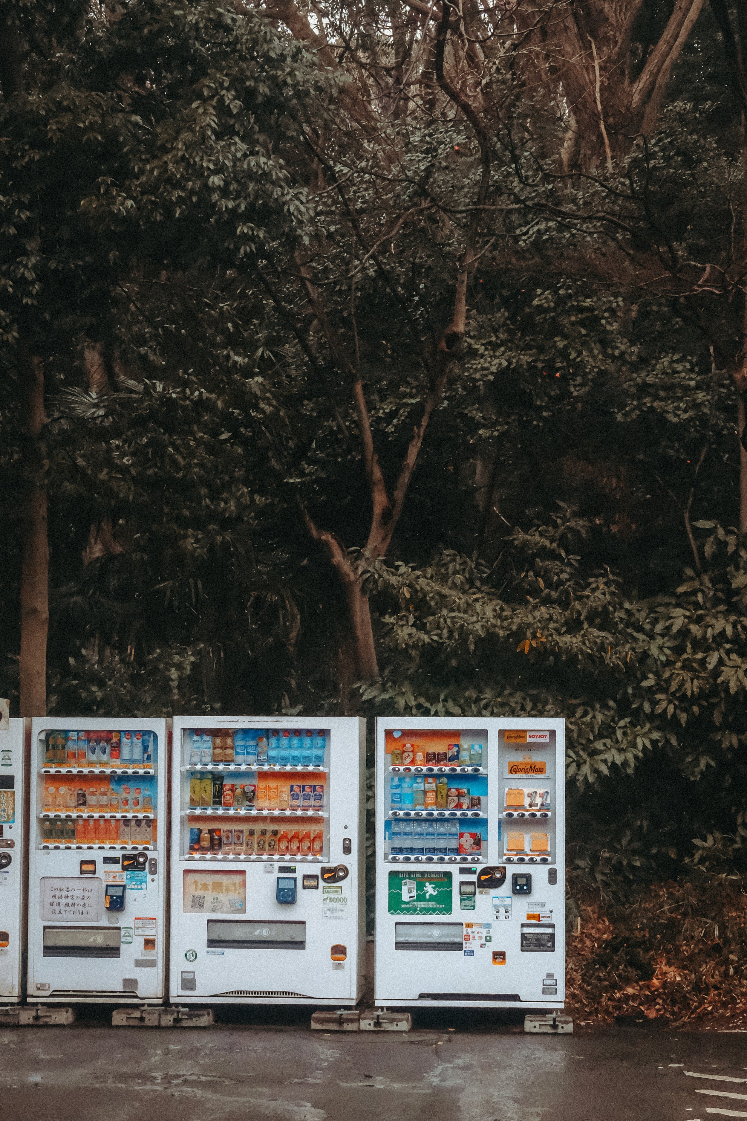 Vier Getränkeautomaten vor einem dunklen, bewaldeten Hintergrund bei Nacht.