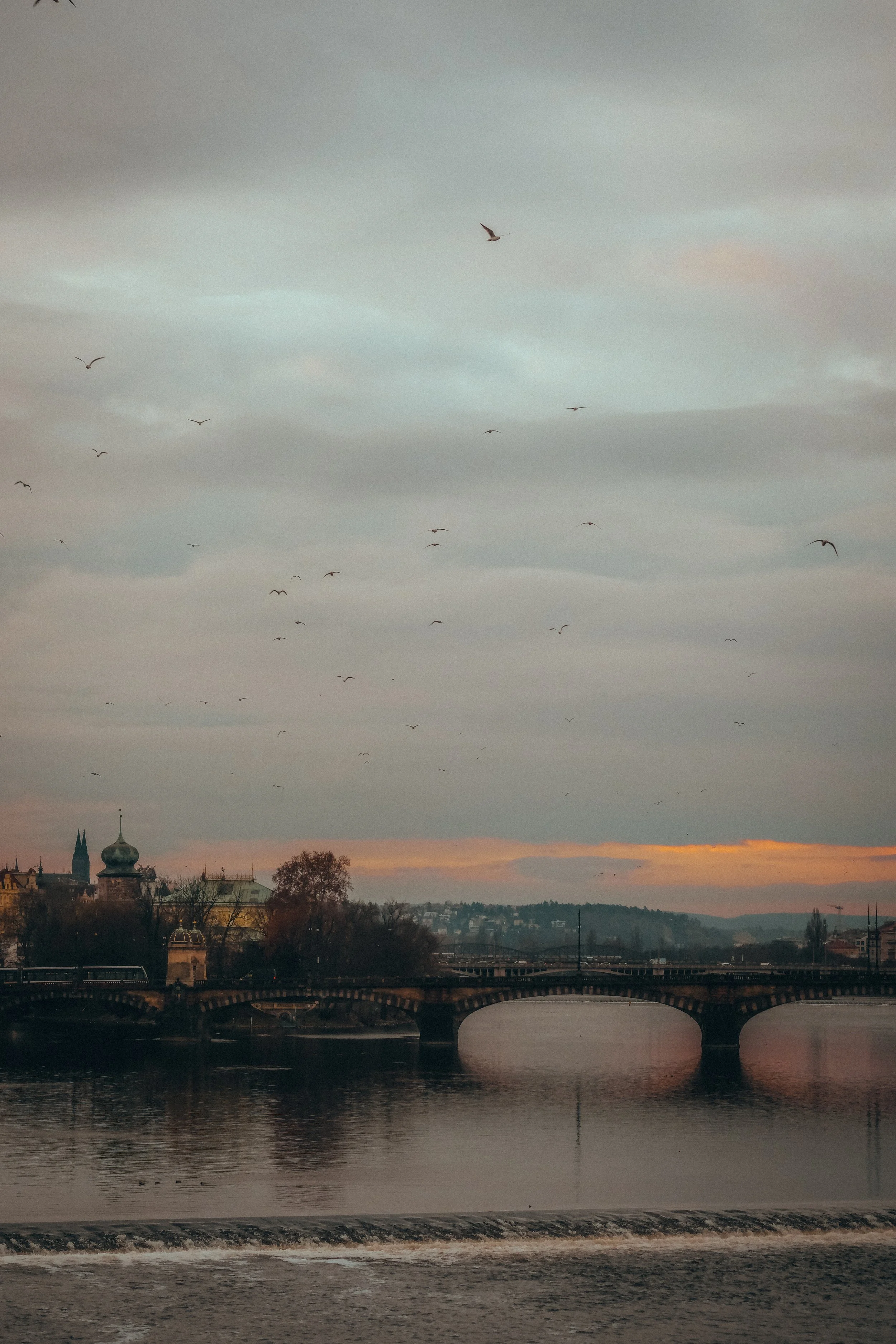 Eine Flusslandschaft bei Sonnenuntergang mit einer Brücke, mehreren Gebäuden im Hintergrund, Bäumen und fliegenden Vögeln am Himmel.