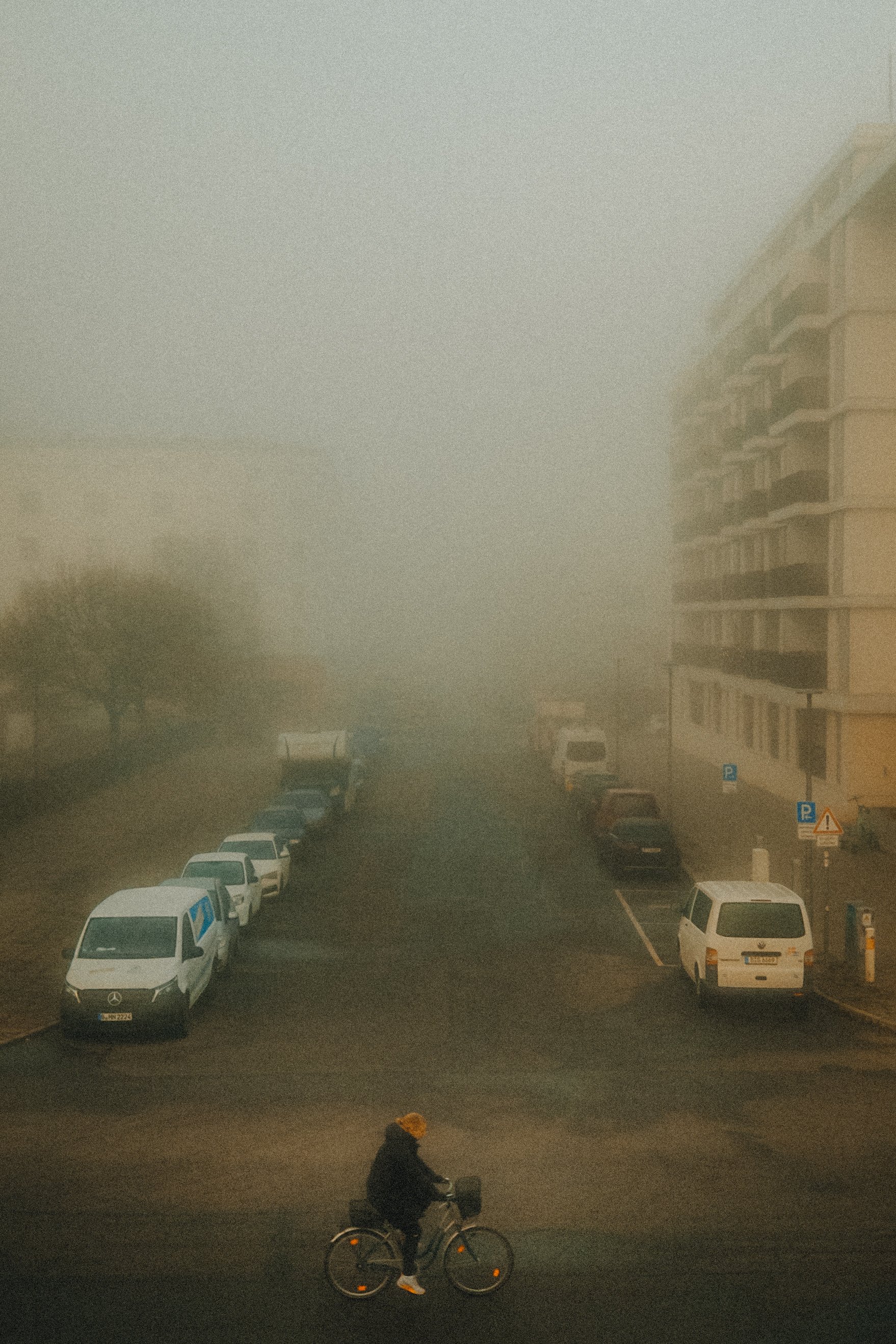 DSCF9801 4.JPG