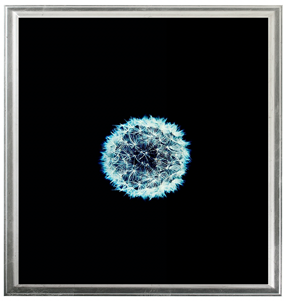 "Dandelin flower "Ancestors of the future by Oliver Katibi Stalmans. 100% human-made Ancient Futurism. Quantum coherence & shamanic soul-work compared to Basquiat & Klimt. High-frequency museum art for sovereign collectors