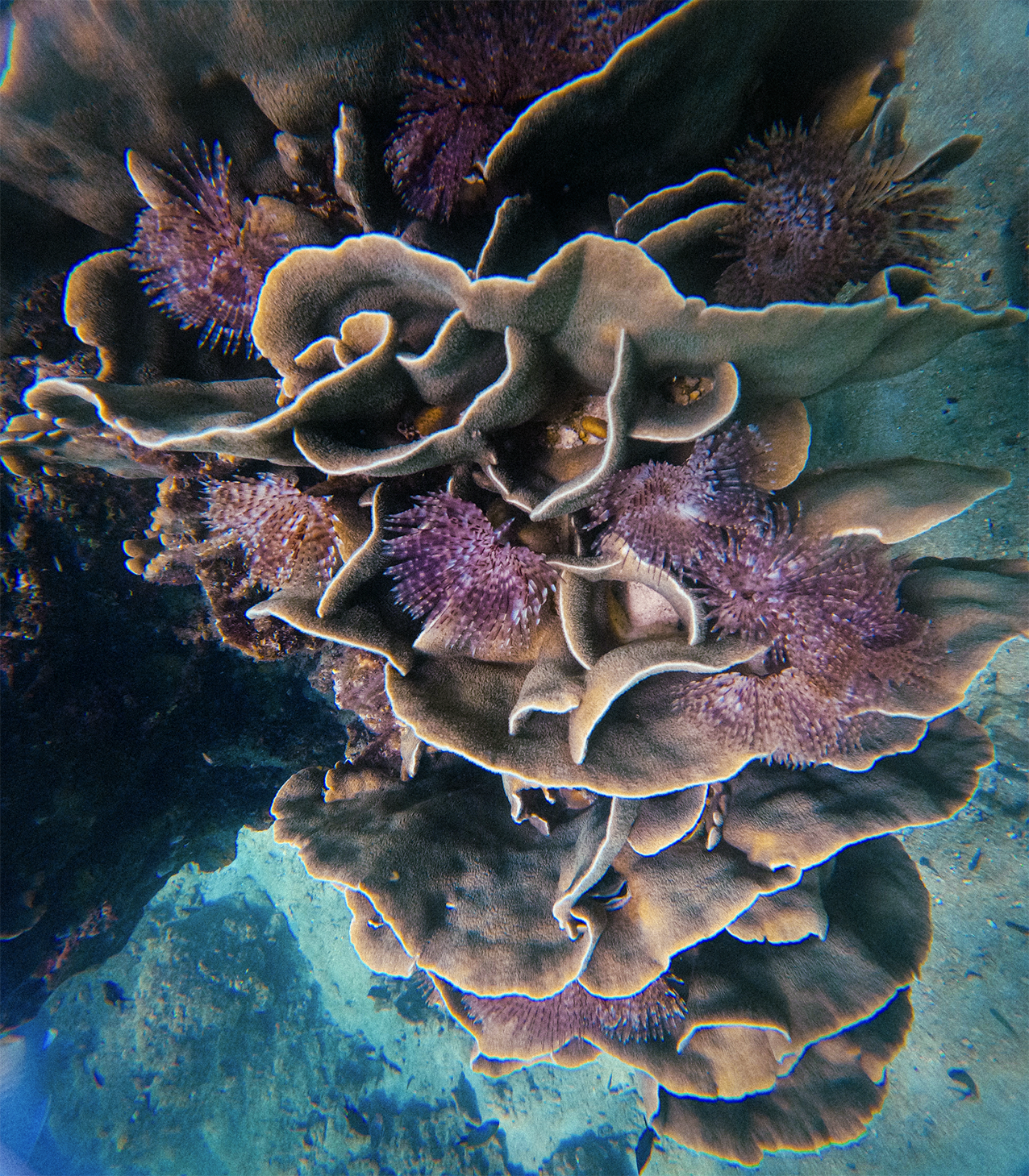 "Chambers of a crystal" Ancestors of the future by Oliver Katibi Stalmans. 100% human-made Ancient Futurism. Quantum coherence & shamanic soul-work compared to Basquiat & Klimt. High-frequency museum art for sovereign collectors