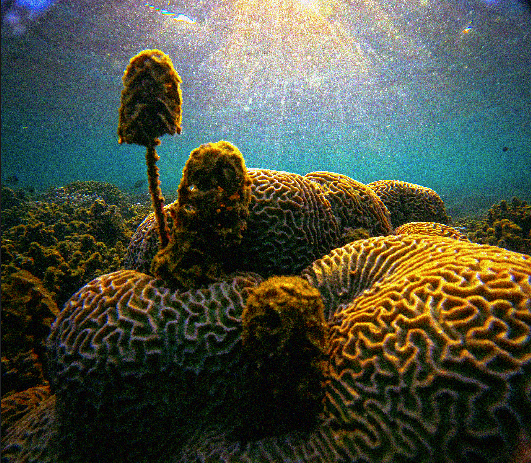 ATLANTIS awakens earth tales for Ancestors of the future by Oliver Katibi Stalmans. 100% human-made Ancient Futurism. Quantum coherence & shamanic soul-work compared to Basquiat & Klimt. High-frequency museum art for sovereign collectors