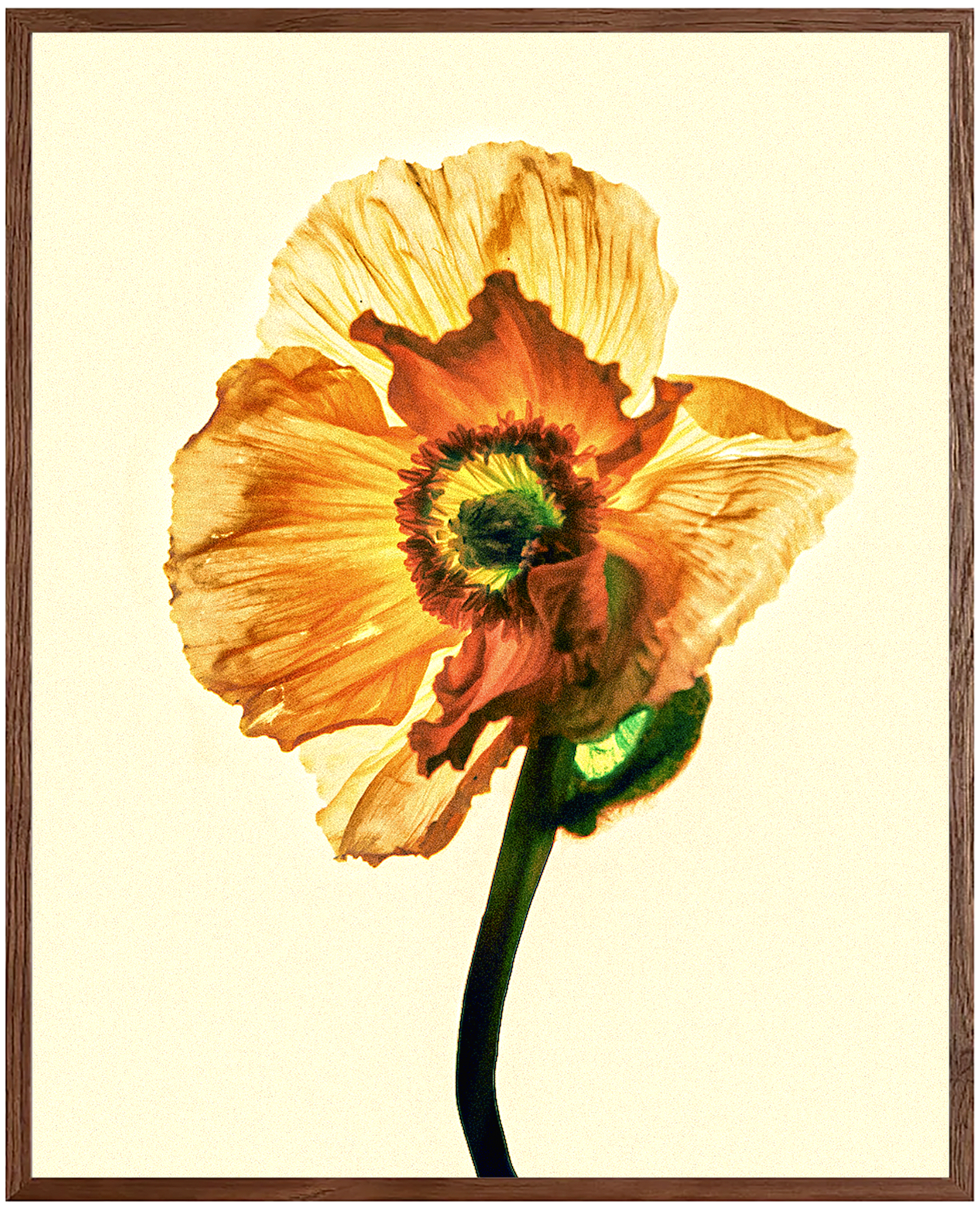 Ancestors of the future by Oliver Katibi Stalmans. 100% human-made Ancient Futurism. Quantum coherence & shamanic soul-work compared to Basquiat & Klimt. High-frequency museum art for sovereign collectors