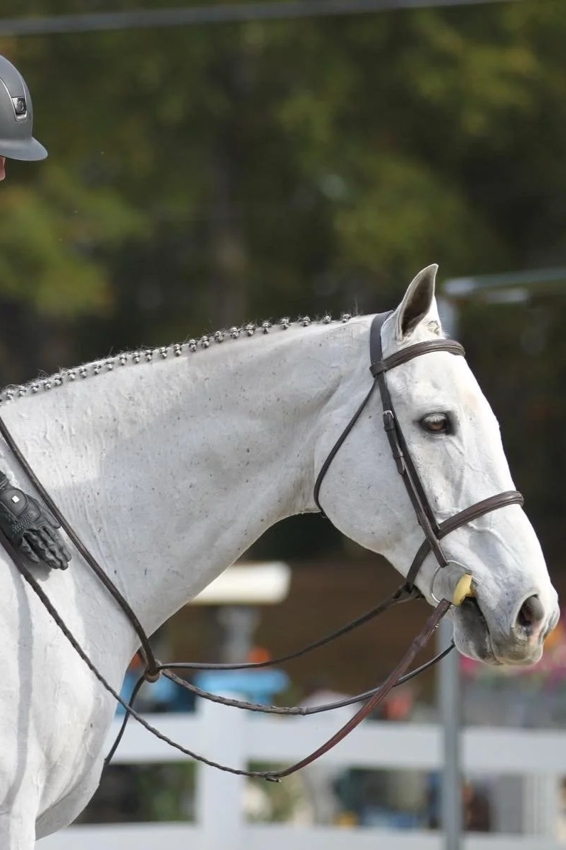 Close-up of a white horse with braids in its mane, wearing a bridle and reins, and a rider wearing a helmet riding in an outdoor setting with trees in the background.