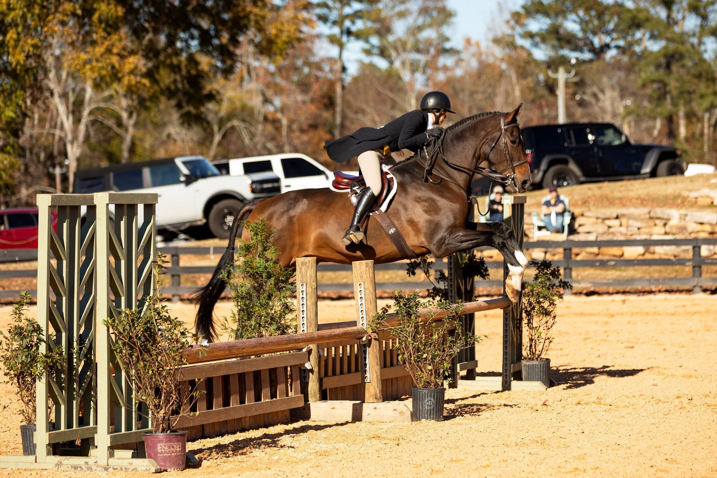 A rider in black attire and a helmet guides a brown horse with a white blaze over a wooden jump at an equestrian event set in autumn, with parked cars and trees in the background.