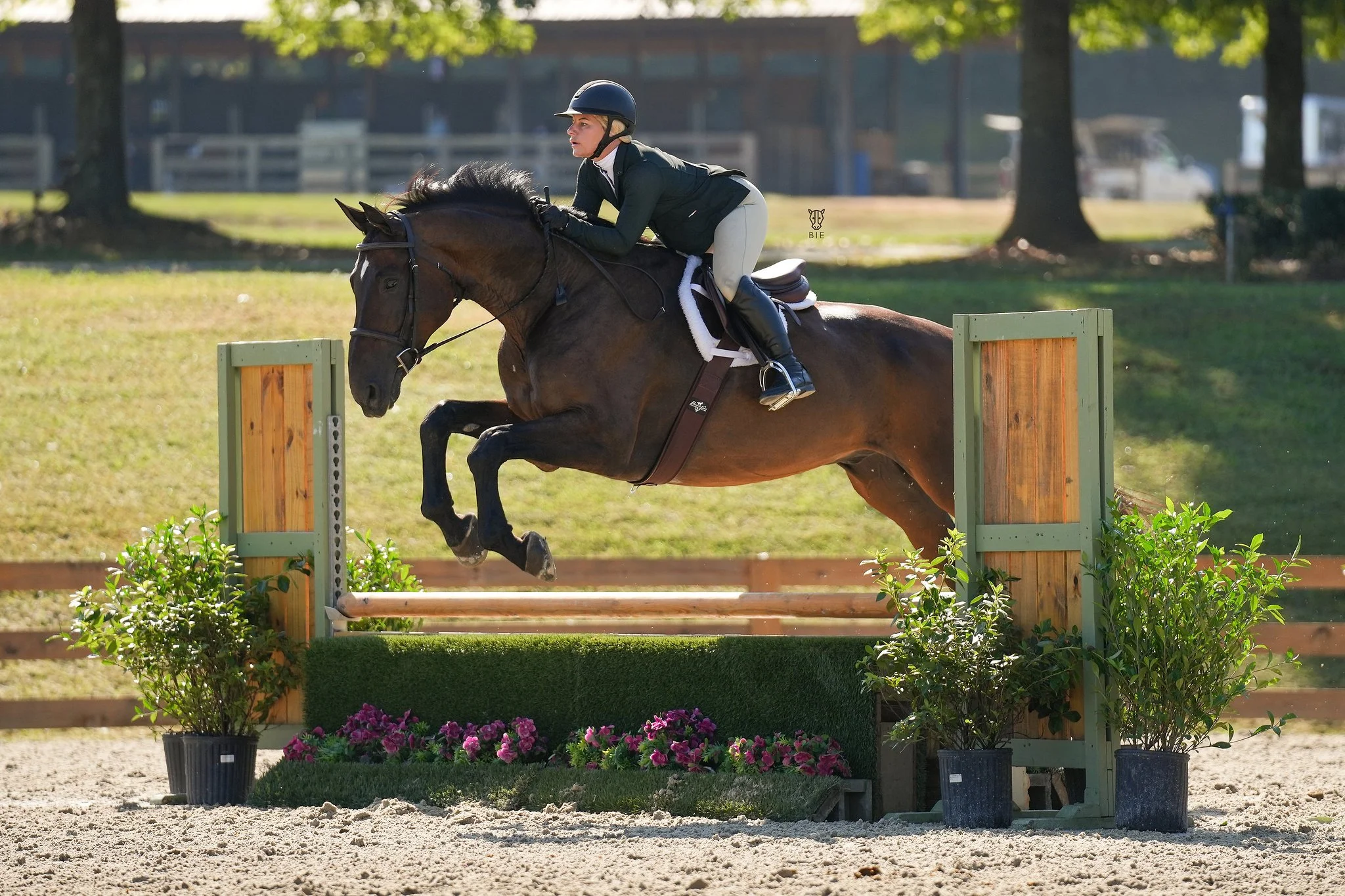 Where show horses find their next chapter.