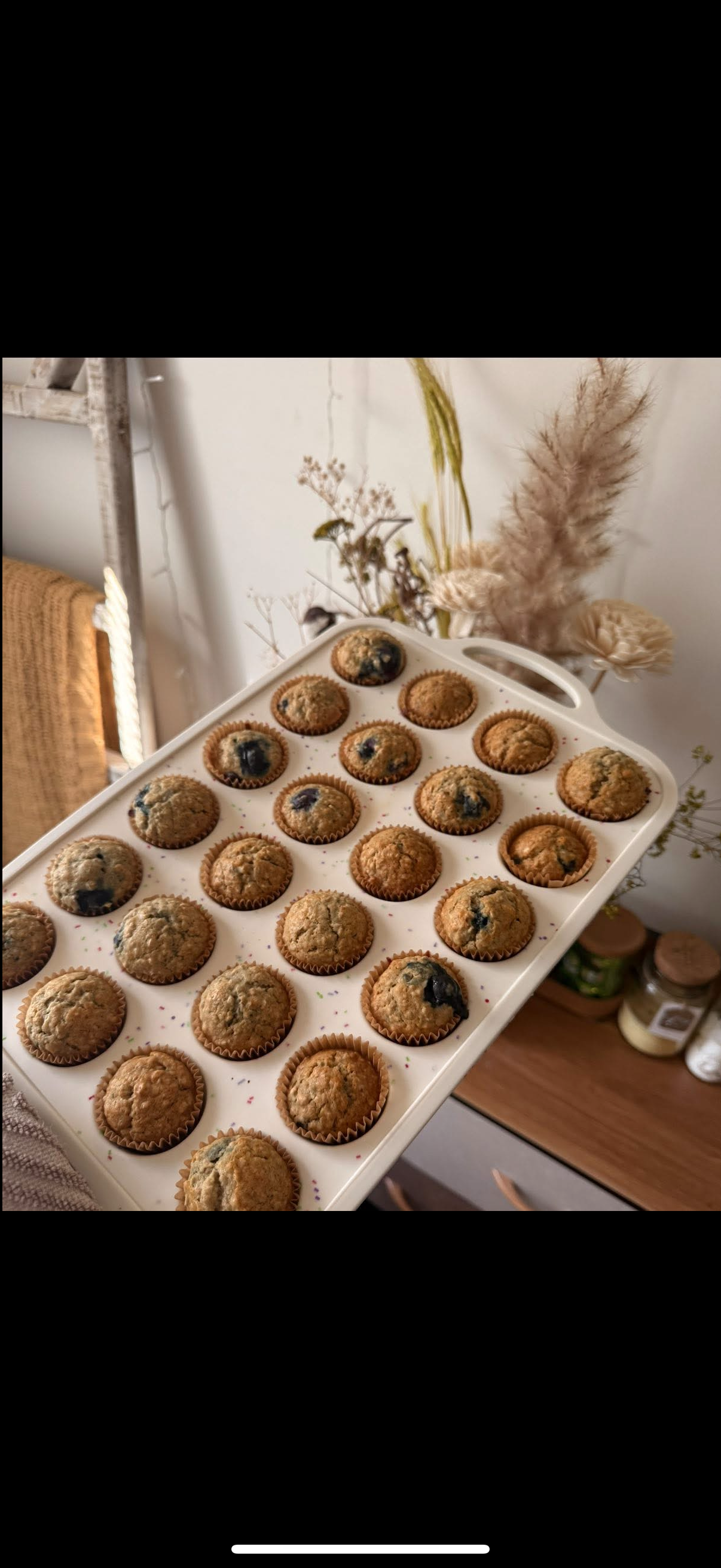 Blueberry Oat Mini Muffins