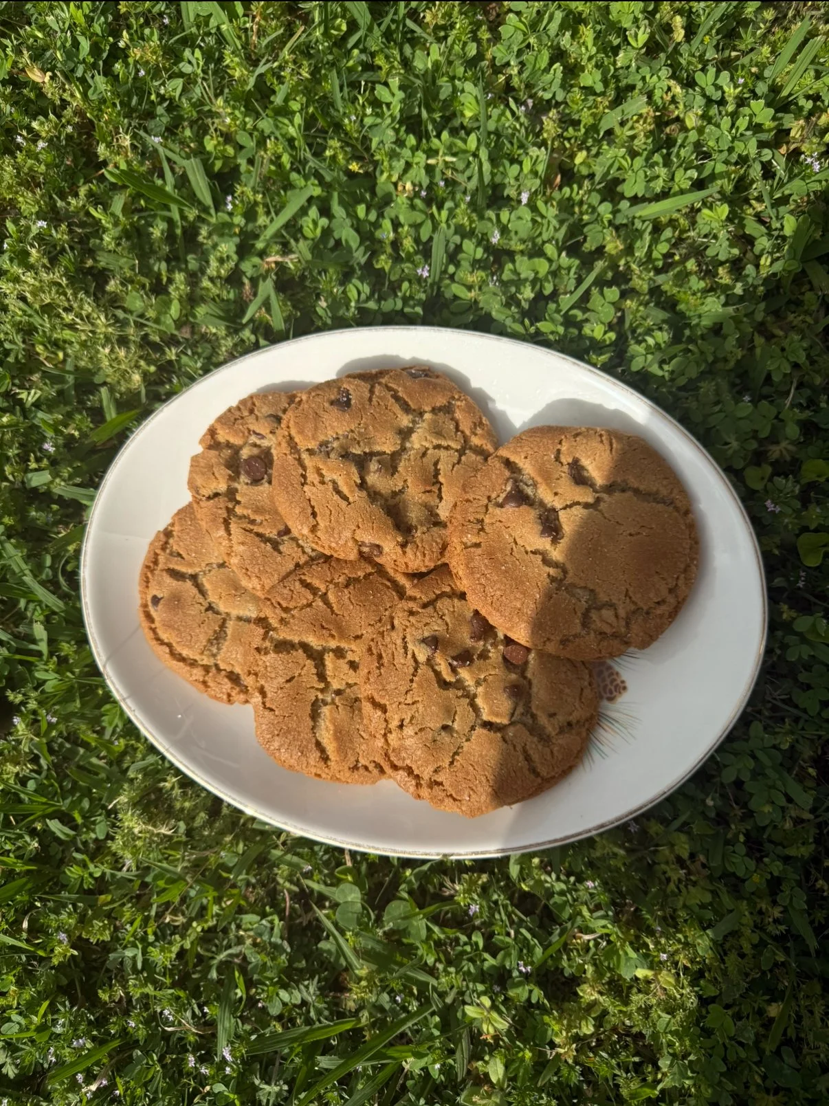 Chocolate Chip Cookies