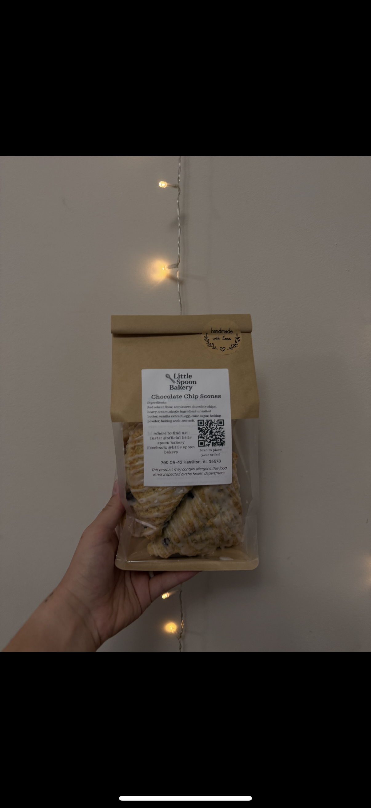 Sourdough Chocolate Chip Scone