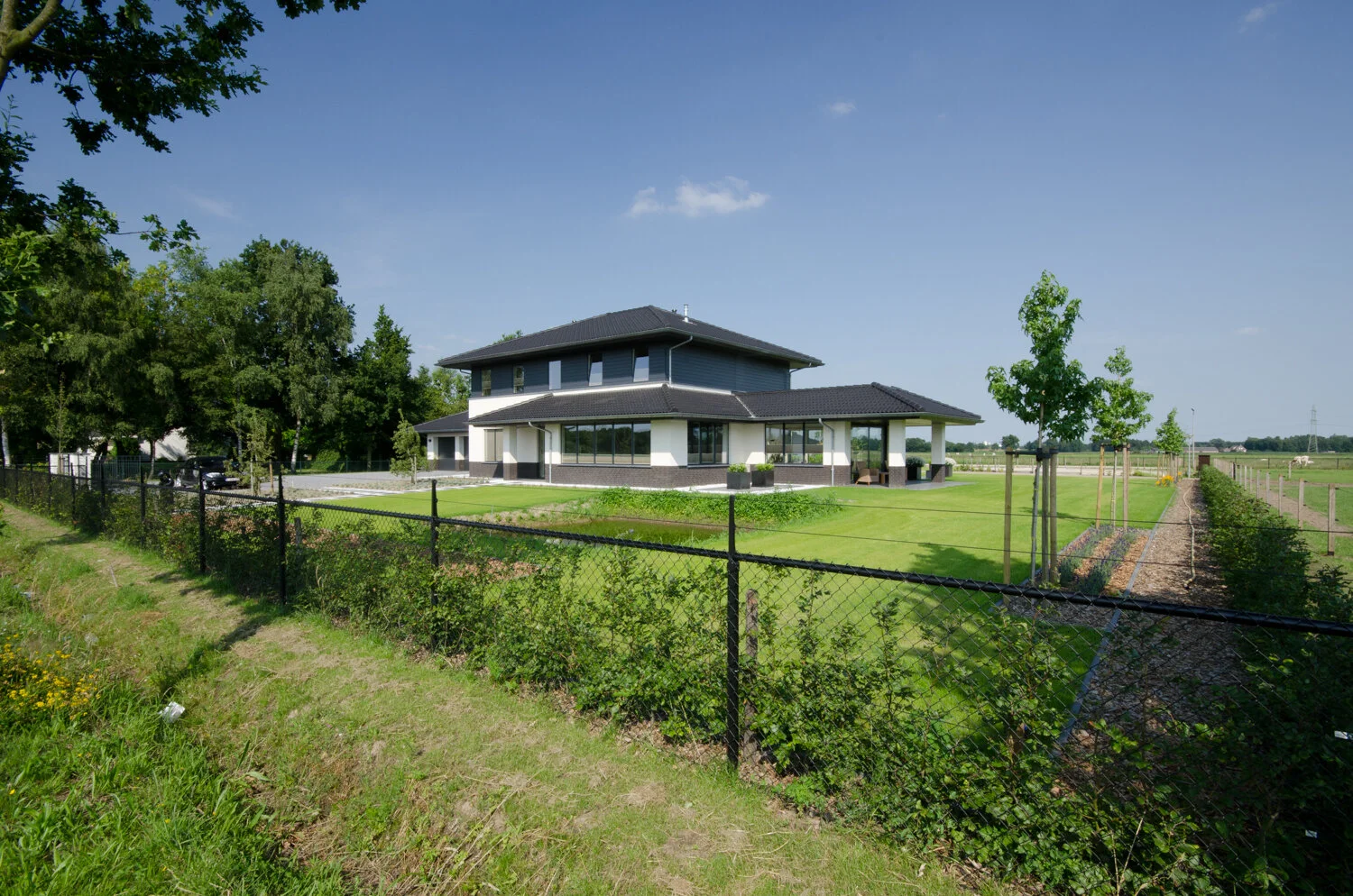20130708_1006 Dassen te Weert_30.jpg