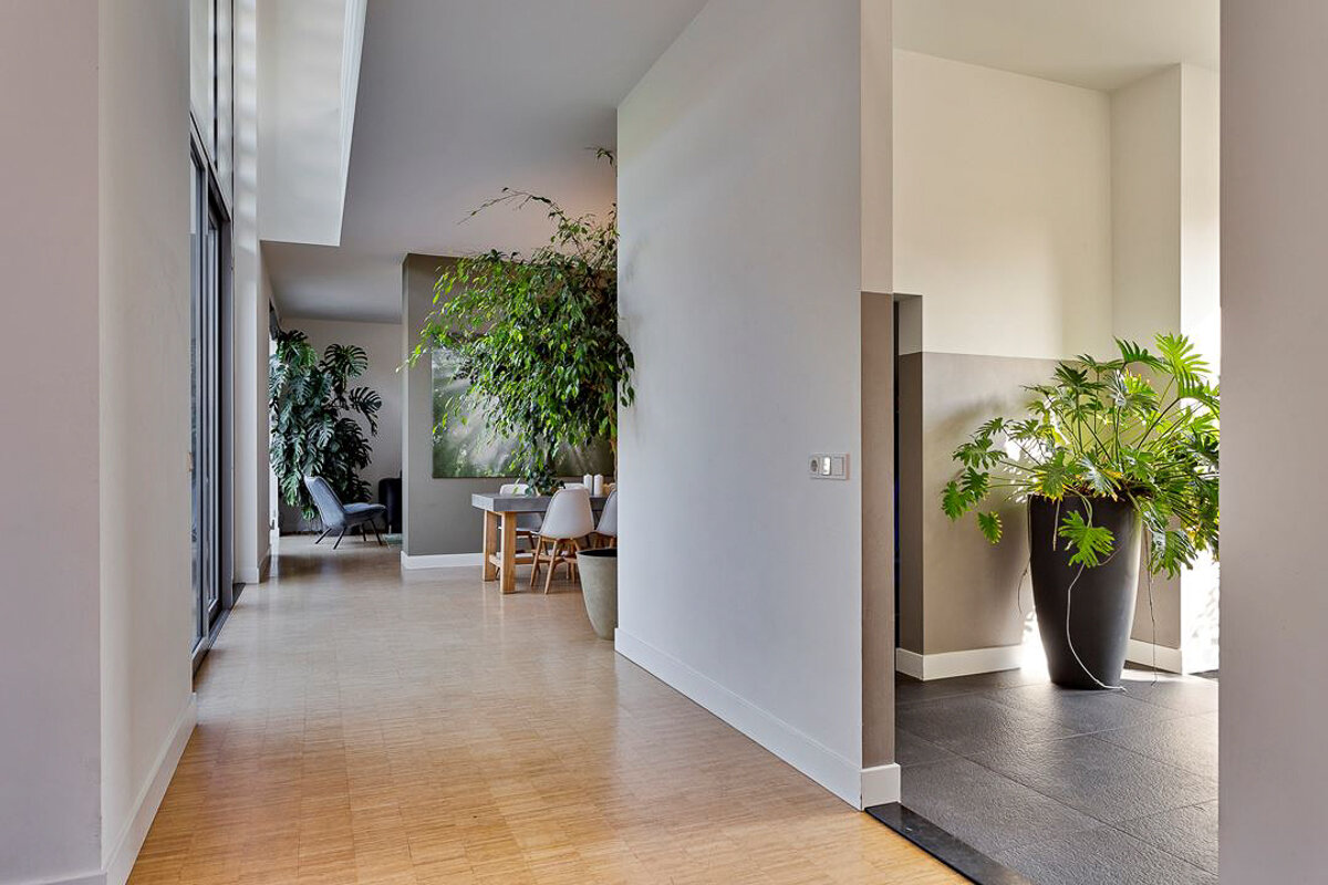 20210601_1254 Hoedeman te Eindhoven_19.jpg