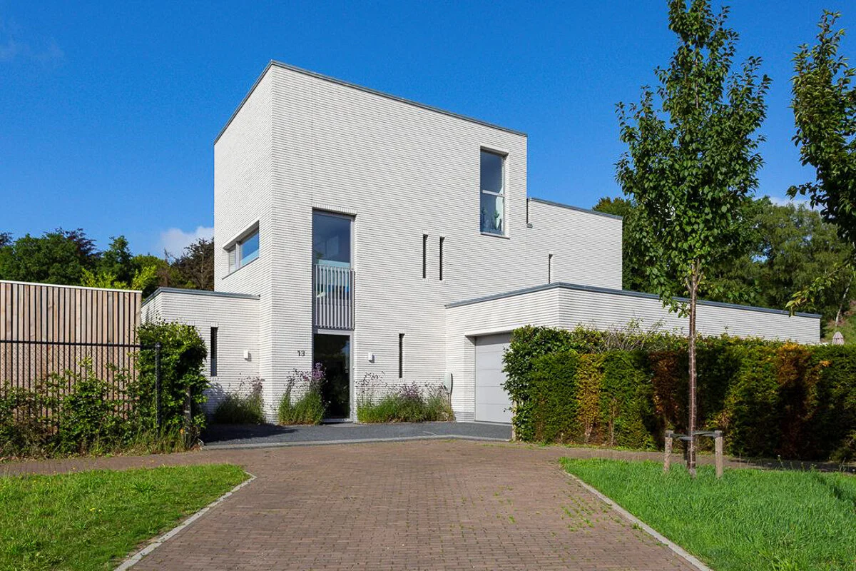 20210309_1254 Hoedeman te Eindhoven_1080.jpg