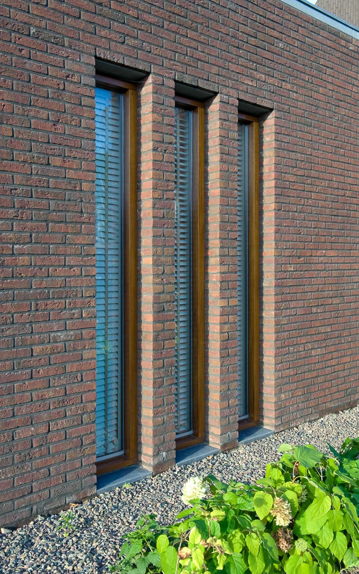 20091021_0729 Visser te Eindhoven_7.jpg