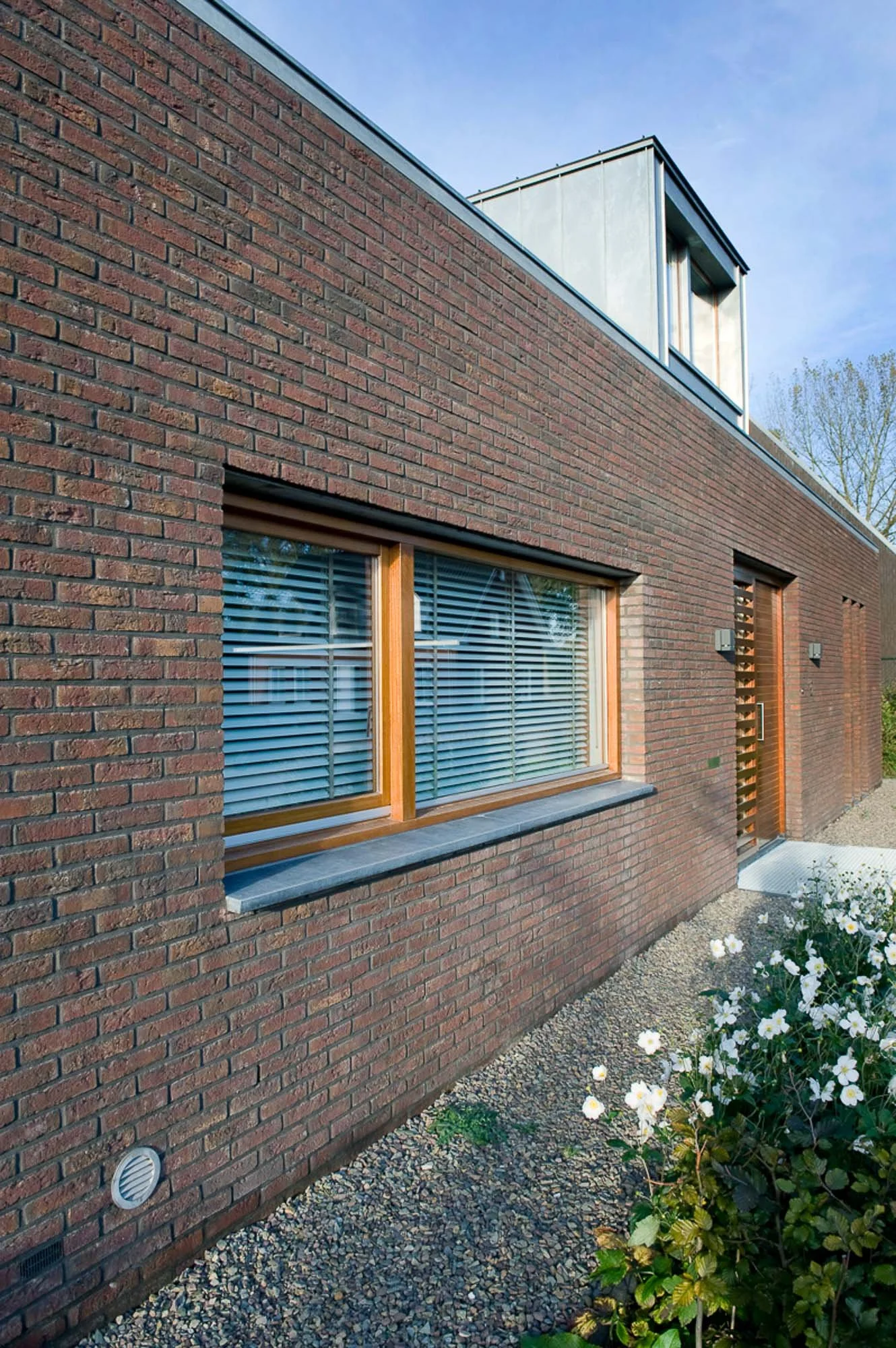 20091021_0729 Visser te Eindhoven_5.jpg