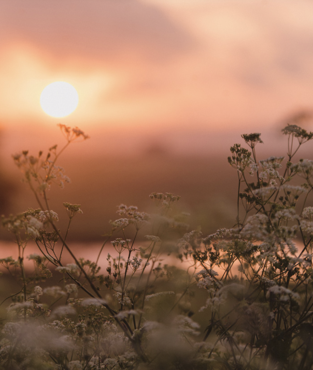 Screenshot 2025-12-15 at 14.53.58.png