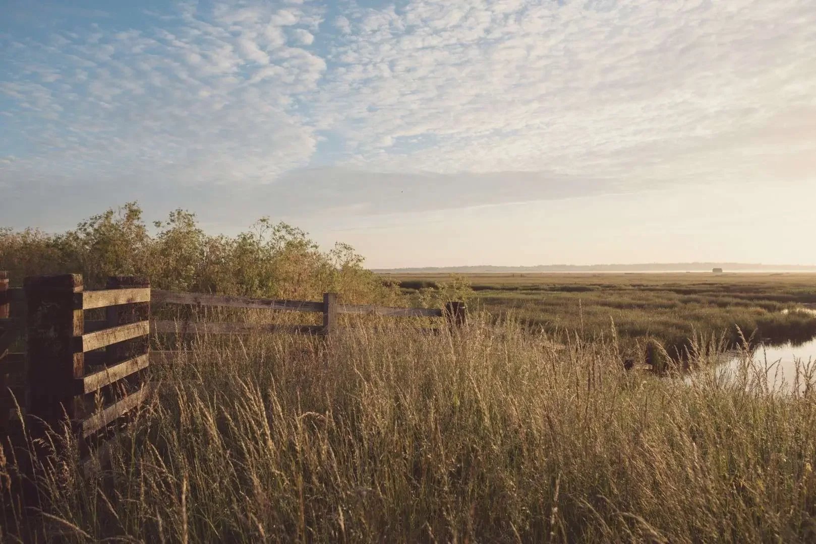 Elmley-Nature-Reserve-Sunrise-Monday-29th-June-2015-183-Large.webp