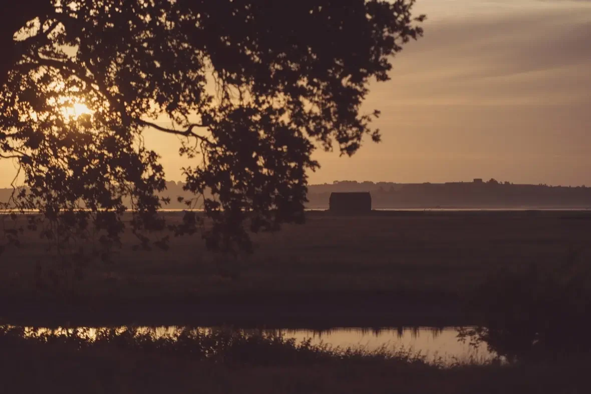 Elmley-Nature-Reserve-Sunrise-Monday-29th-June-2015-156.webp