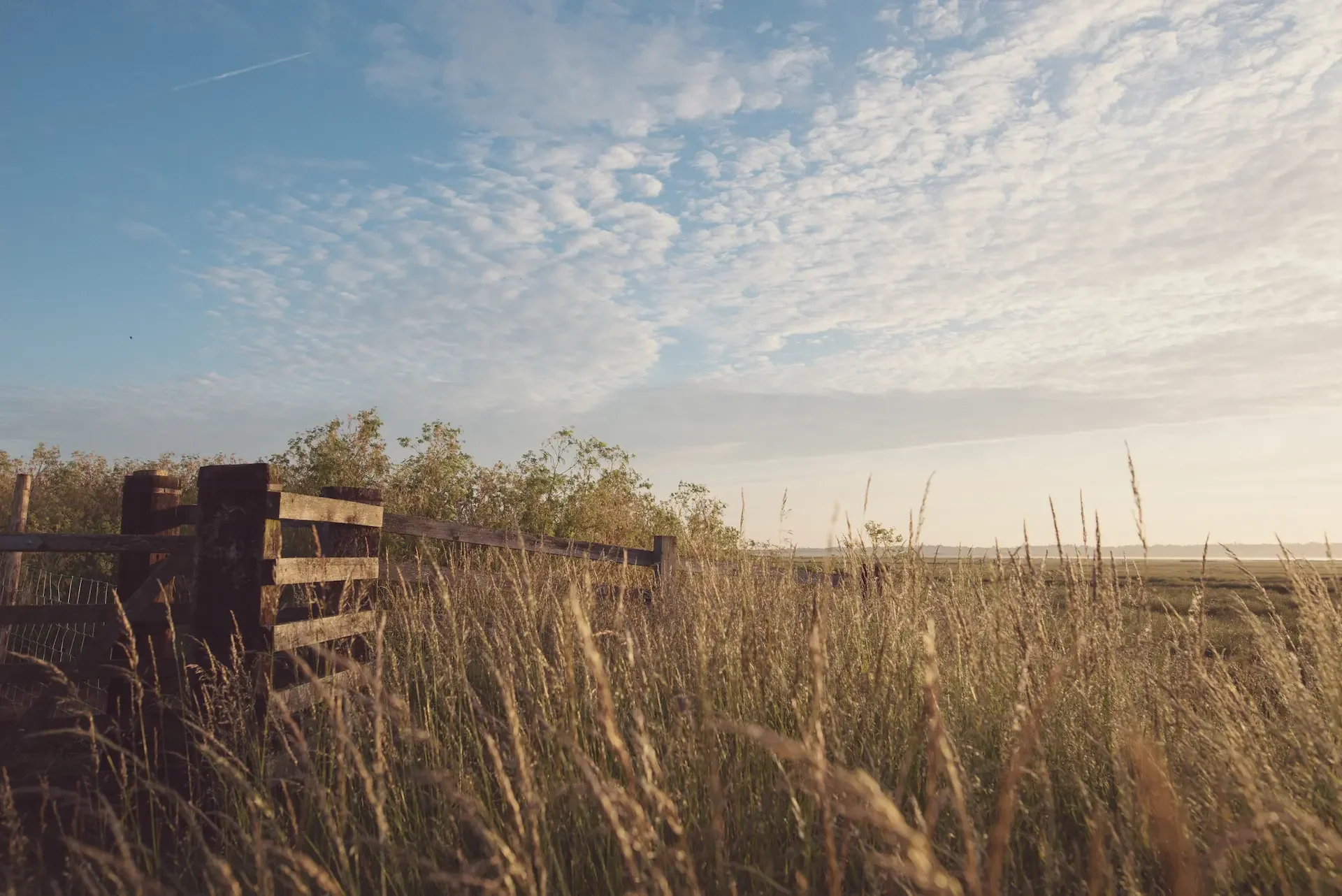 Elmley-Nature-Reserve-Sunrise-Monday-29th-June-2015-184.webp
