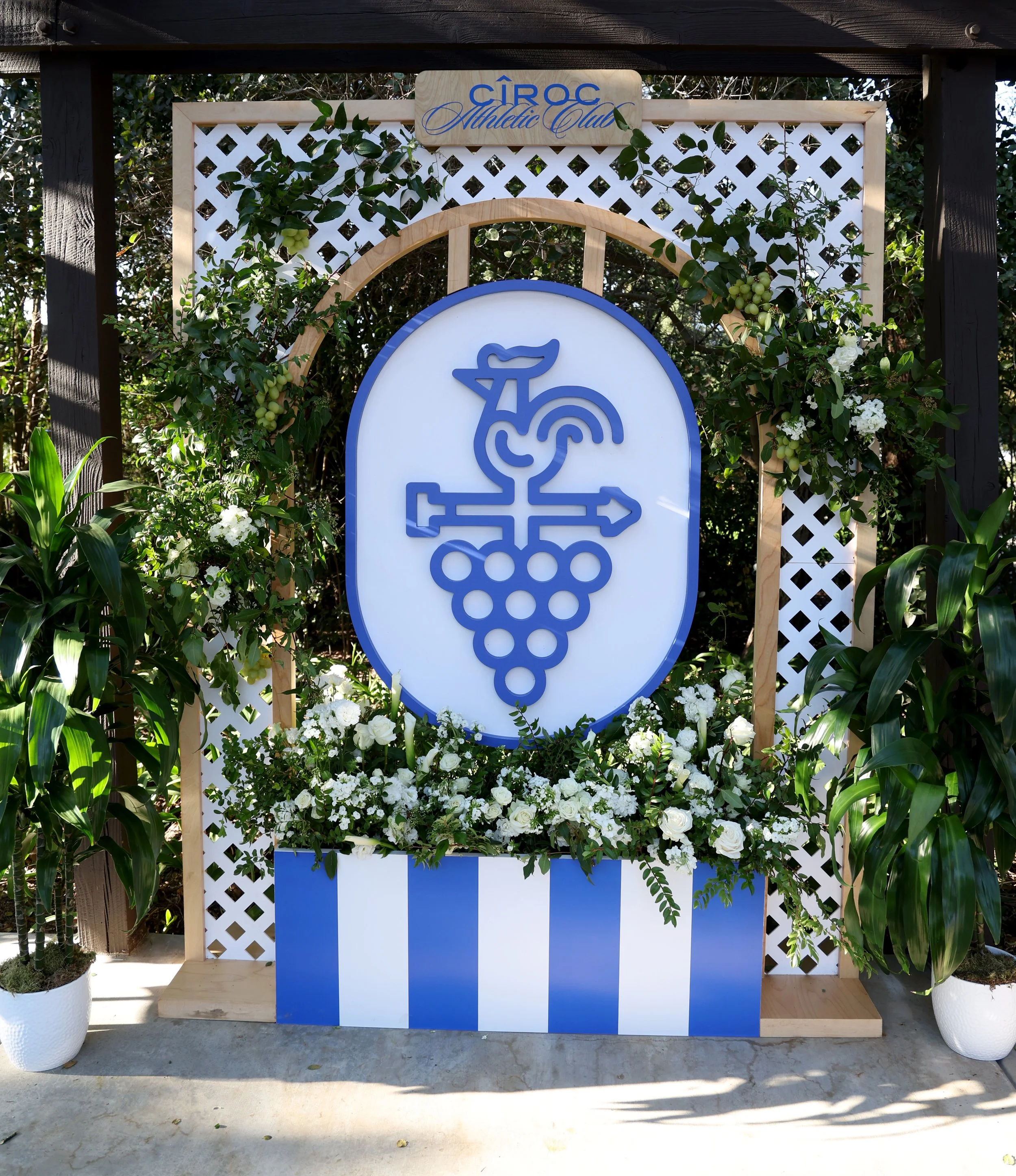 Super Bowl Pickleball Tournament