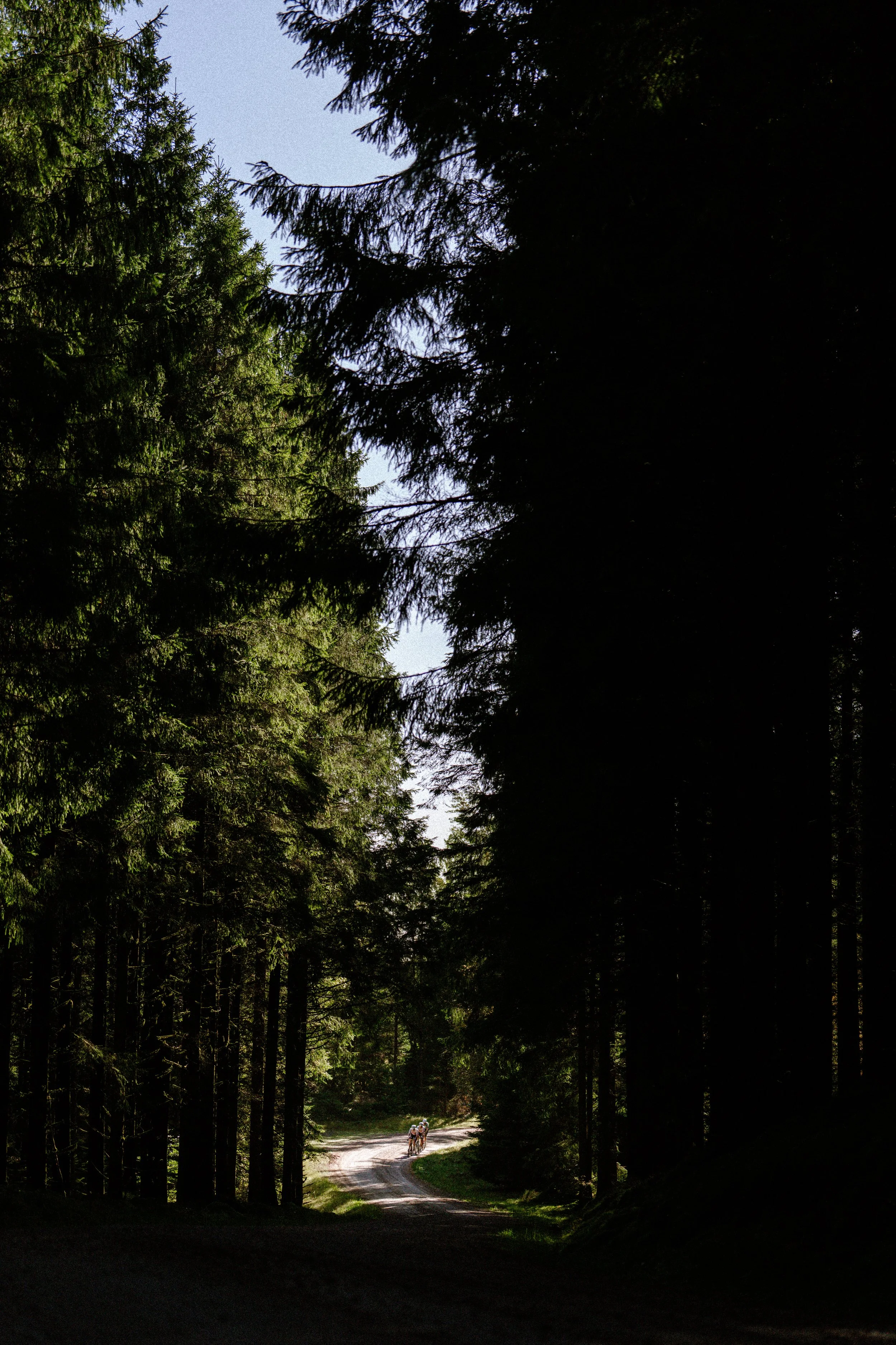 @Toni.Spasenoski_Halmstad_UCI-42.jpg