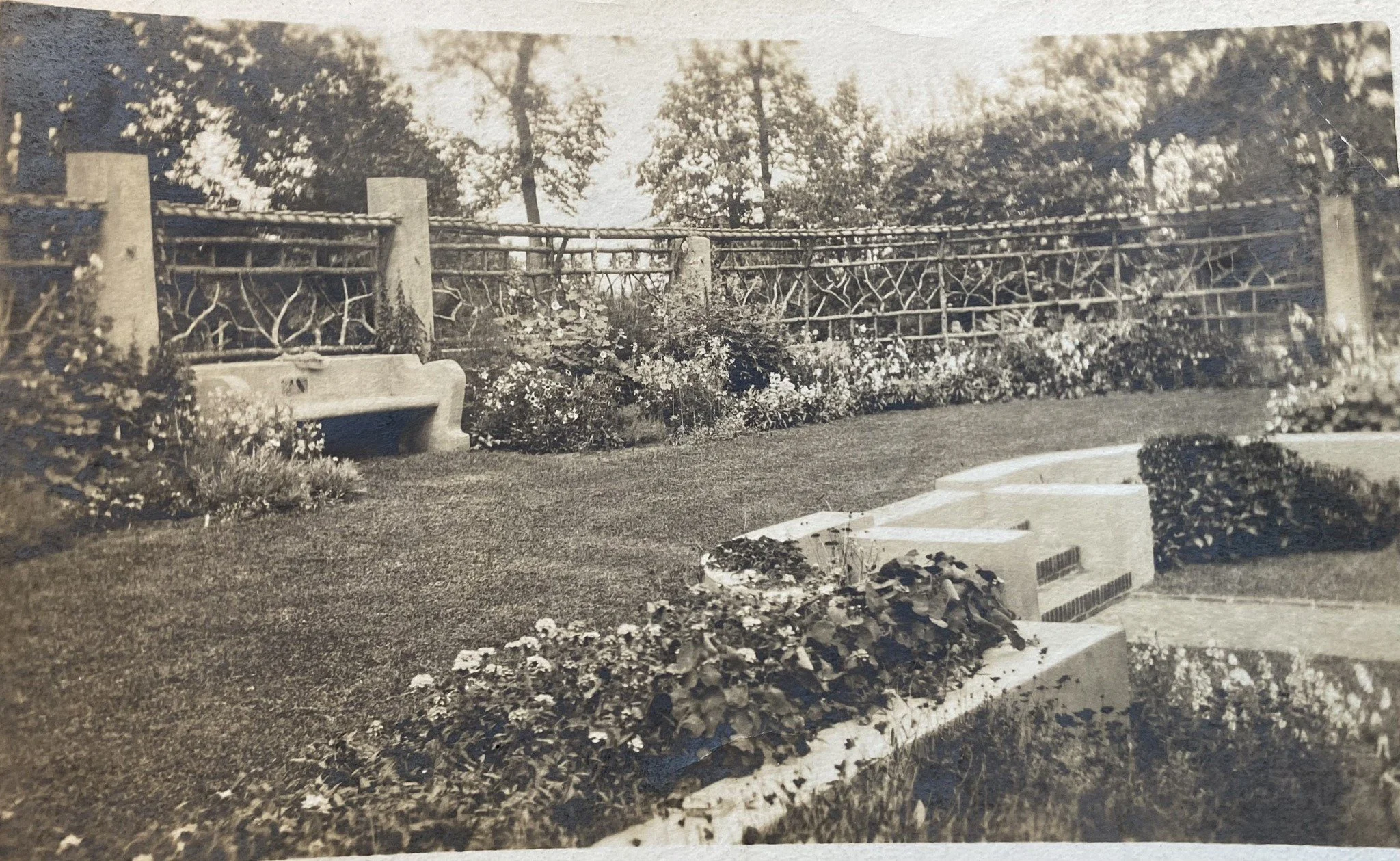 A Forgotten Title:                 The Log of Tanager Hill